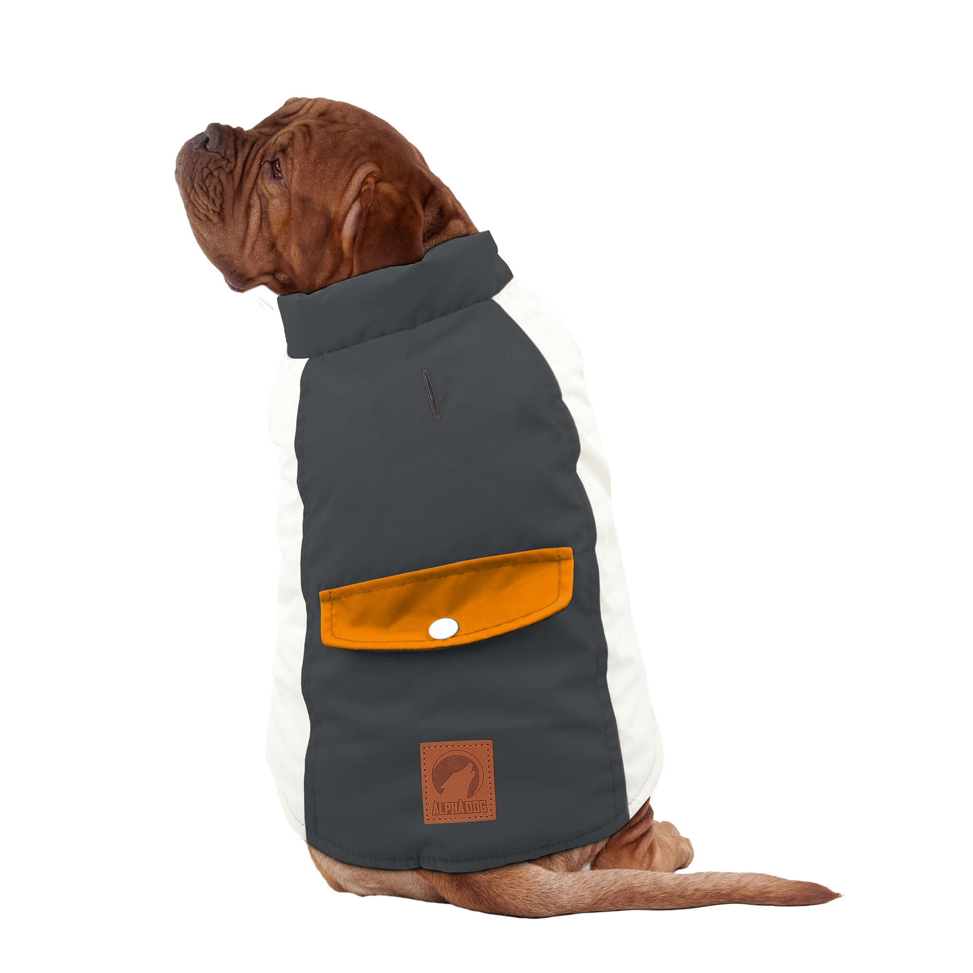 Abrigo impermeable franja gris de ALPHA DOG