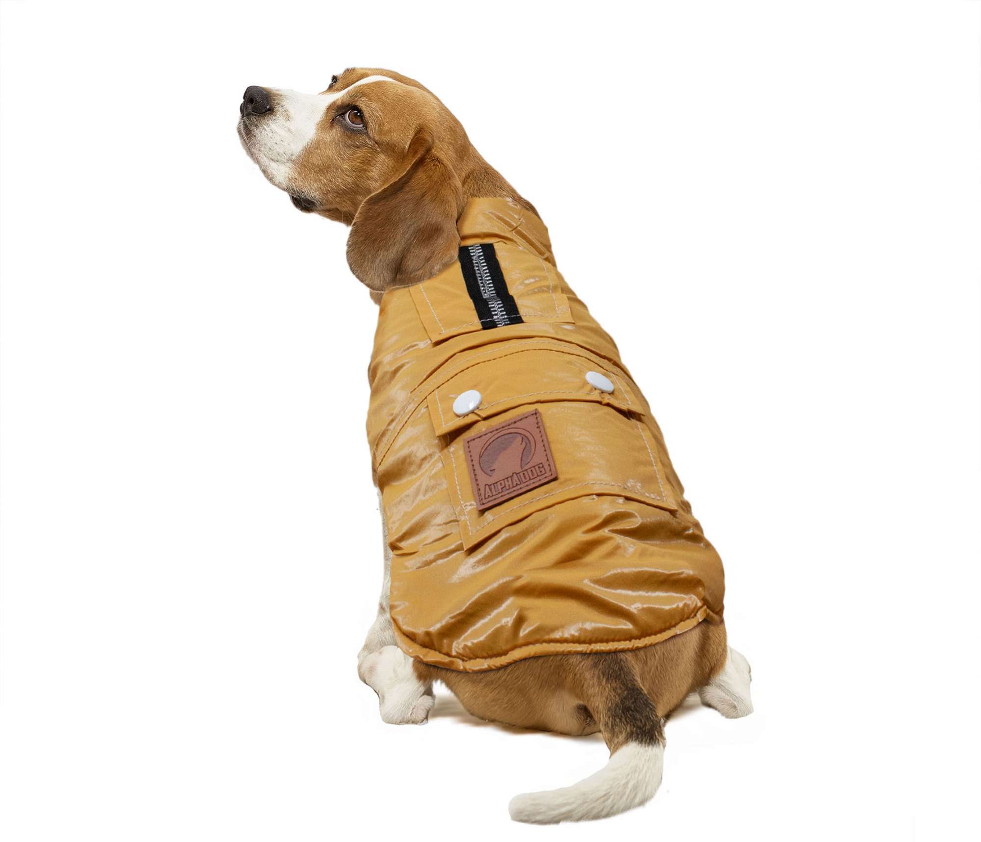 Abrigo metalizado mostaza de ALPHA DOG