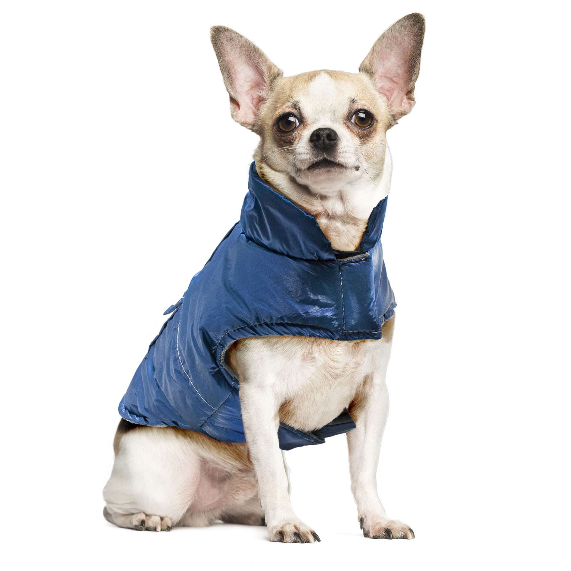 Abrigo metalizado azul de ALPHA DOG
