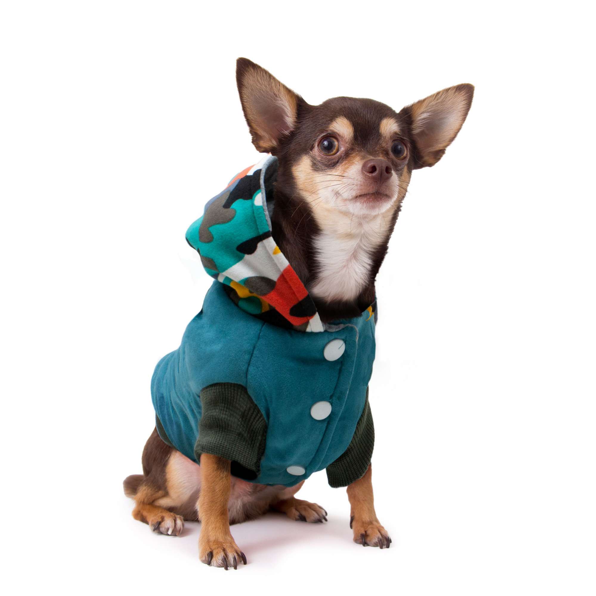 Abrigo con capucha de colores de ALPHA DOG