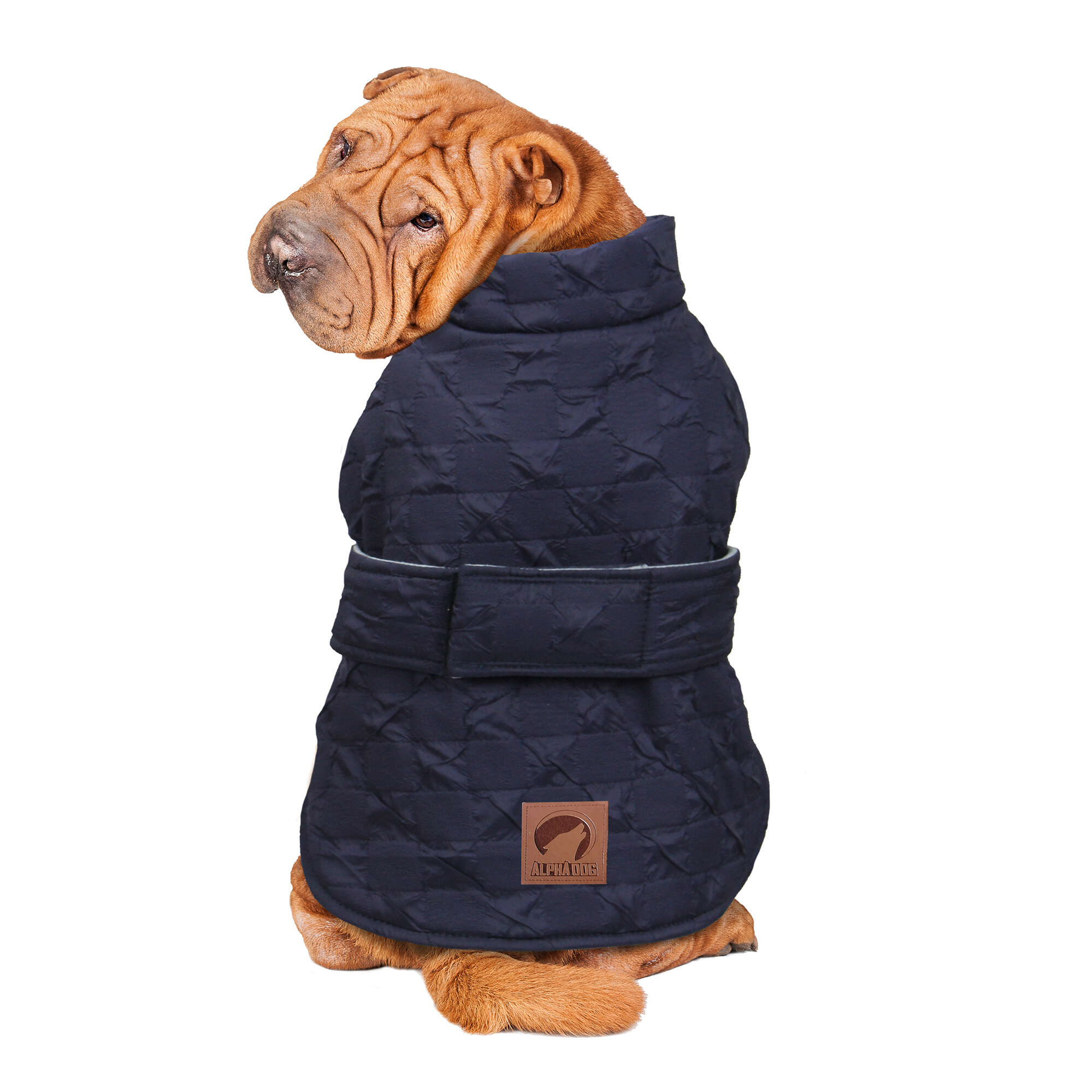 Abrigo London azul de ALPHA DOG