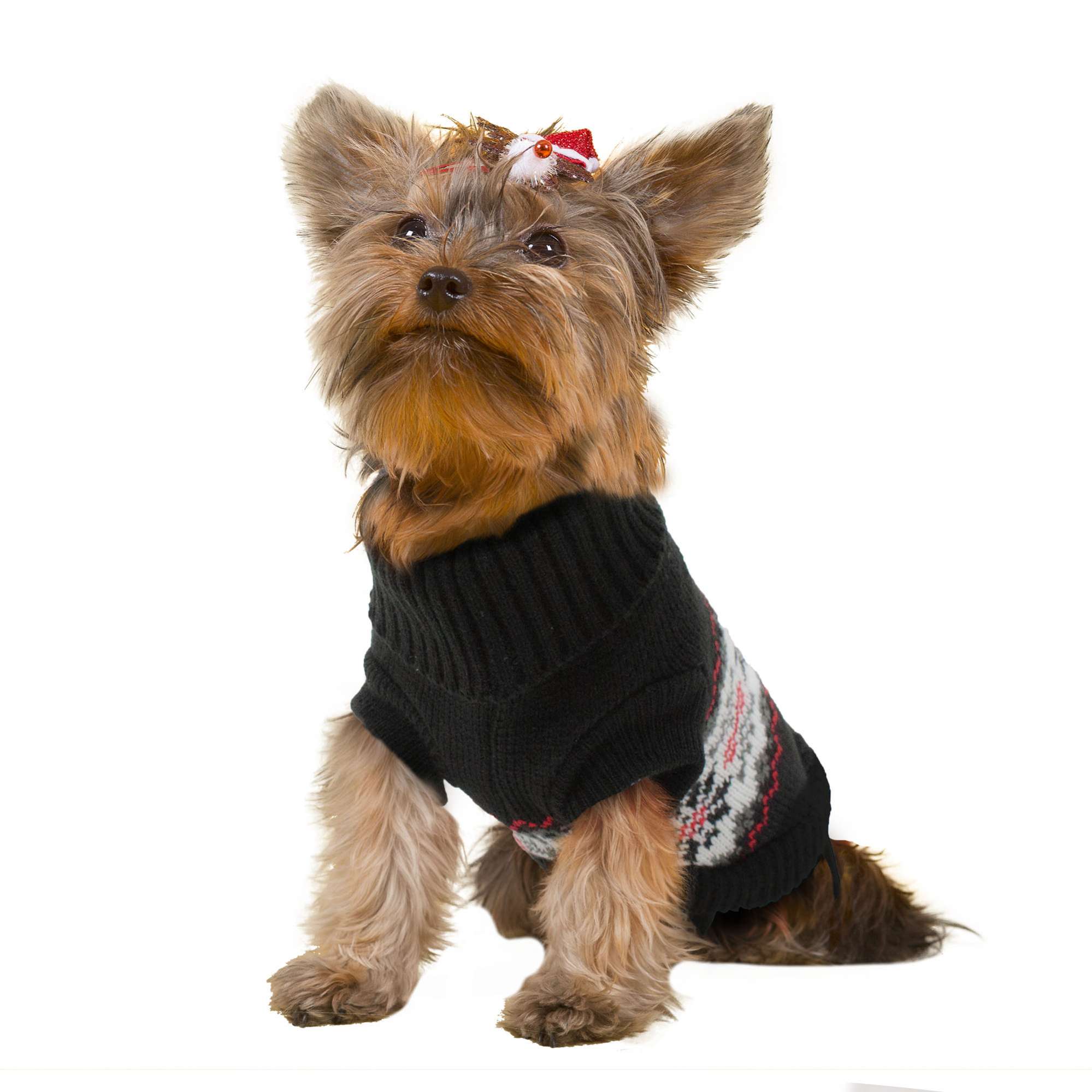 Jersey invierno negro de ALPHA DOG