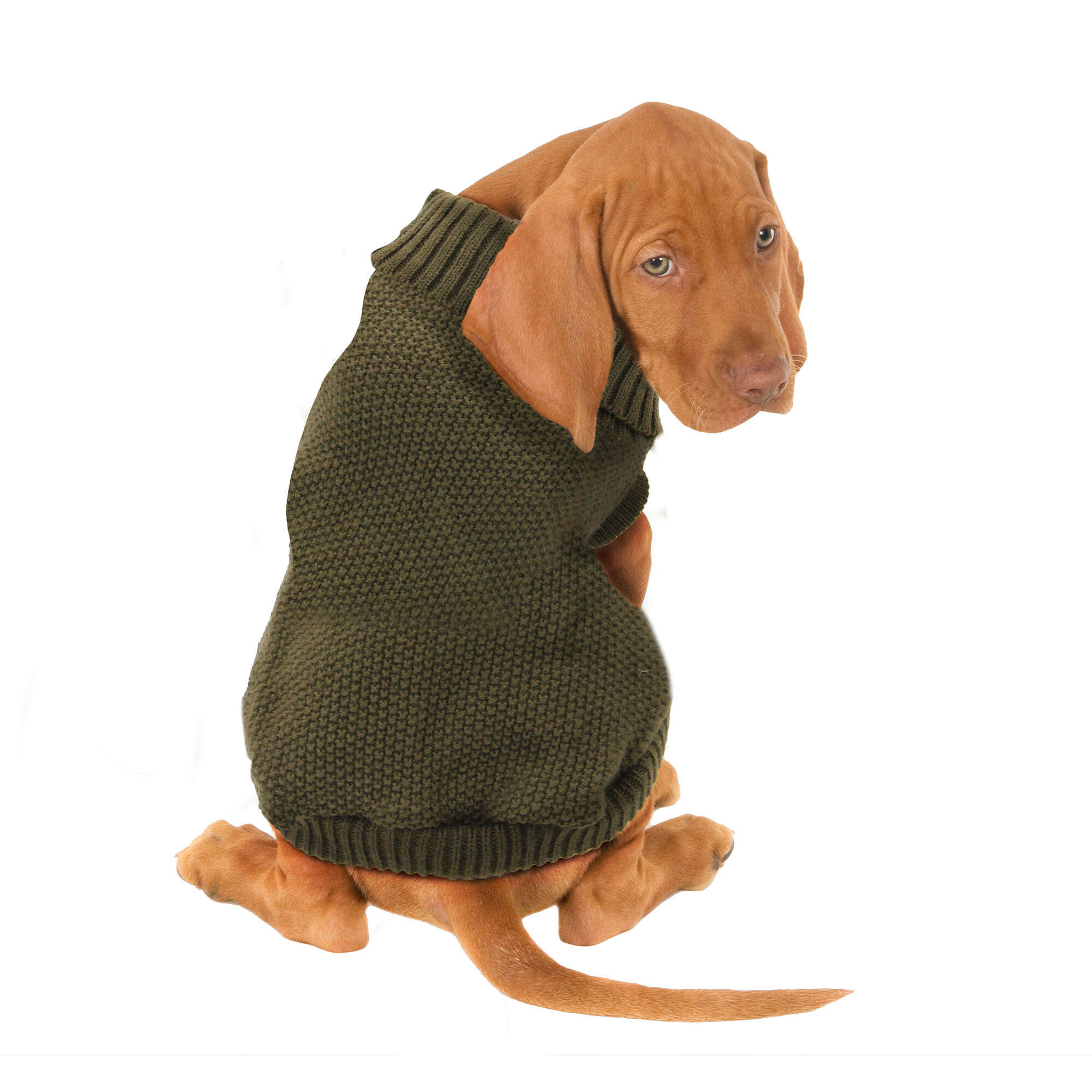 Jersey liso marrón de ALPHA DOG