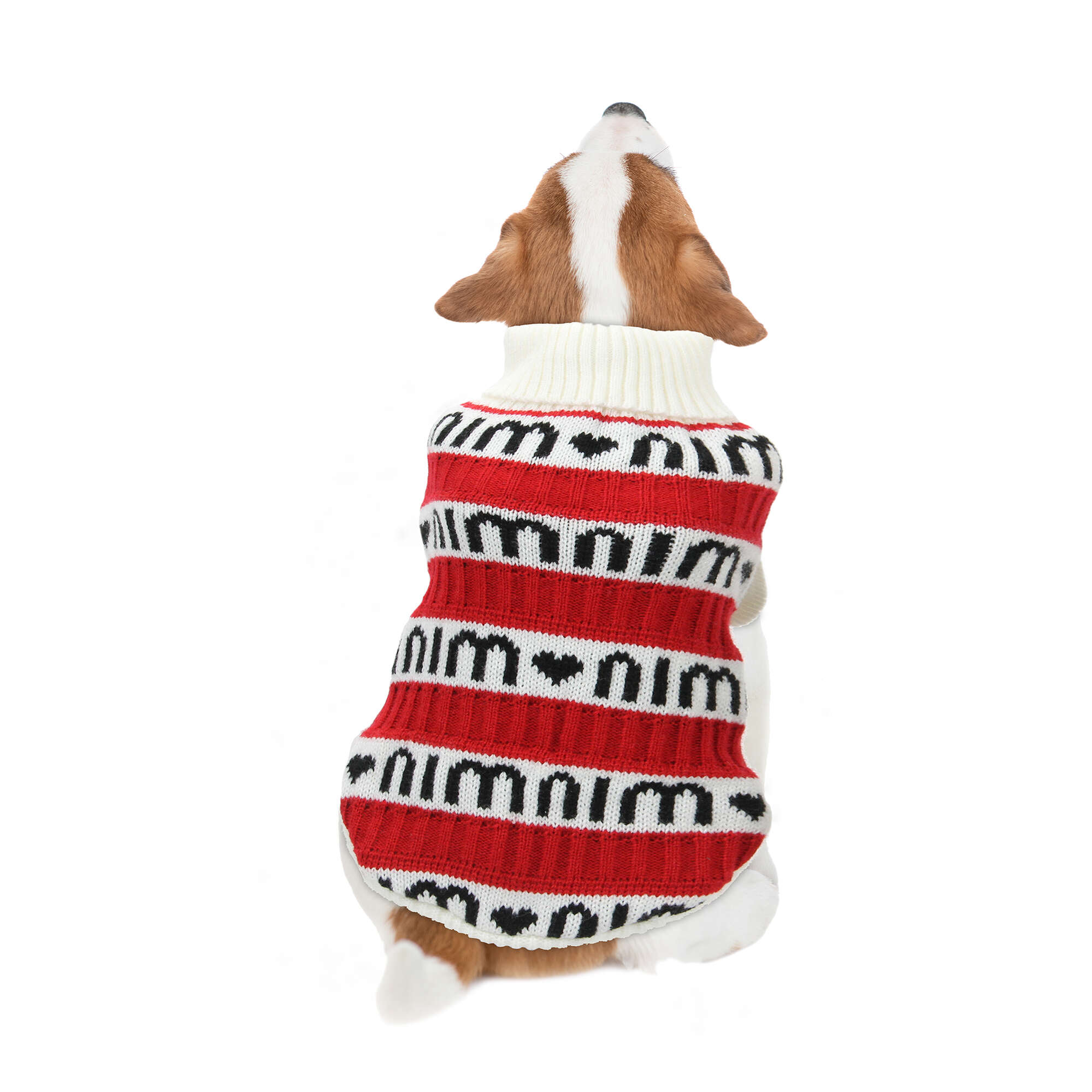 Jersey 'nimnim' de ALPHA DOG