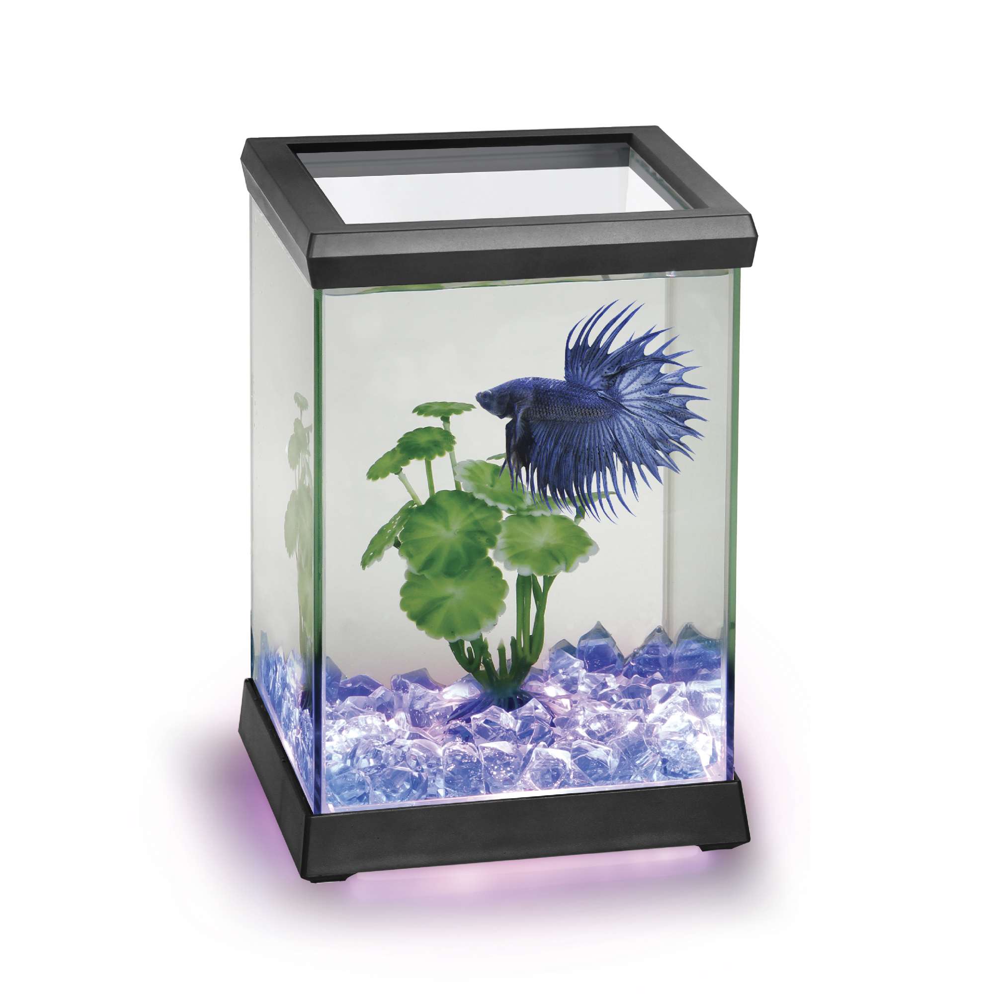 Betta Space LED negro