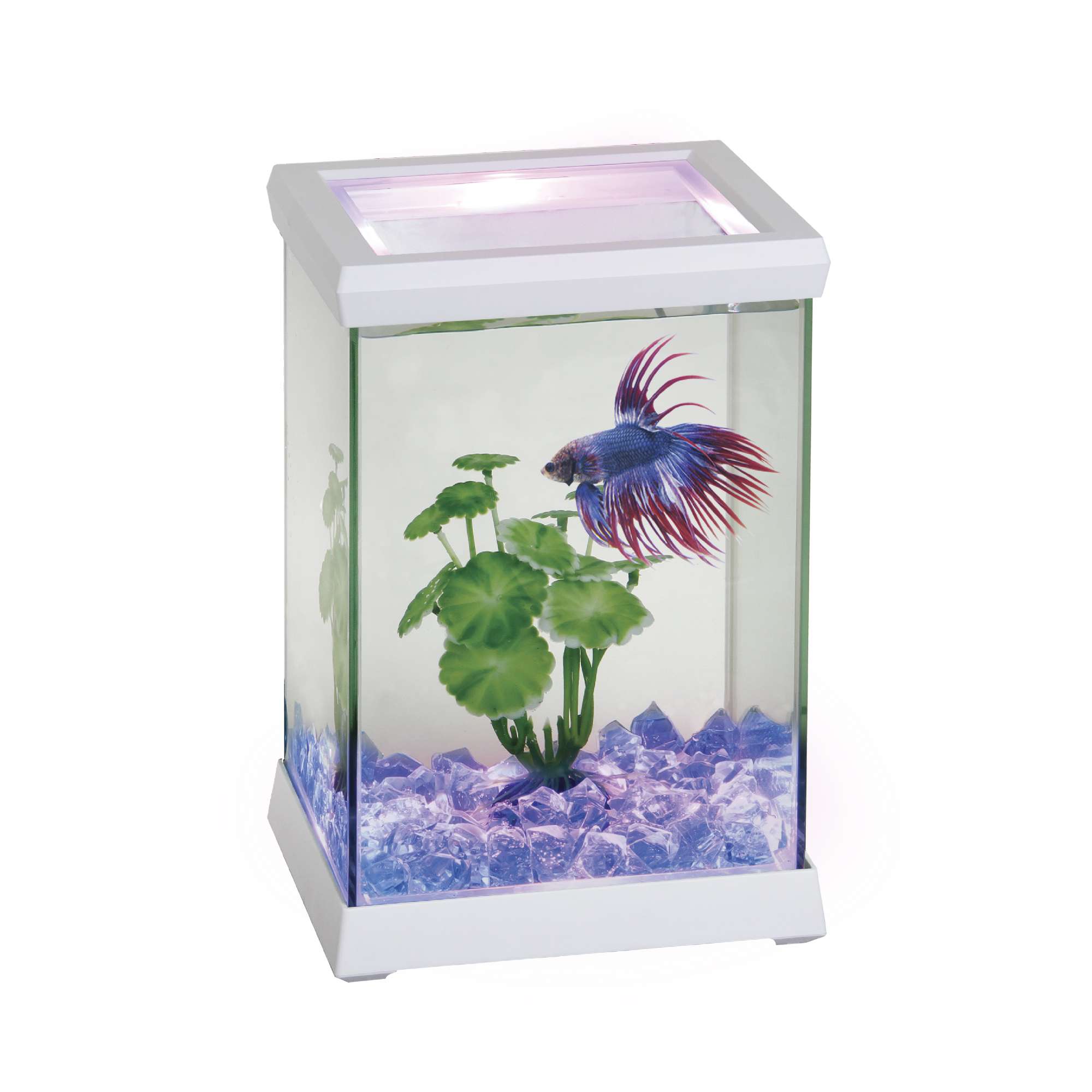 Betta Space LED blanco