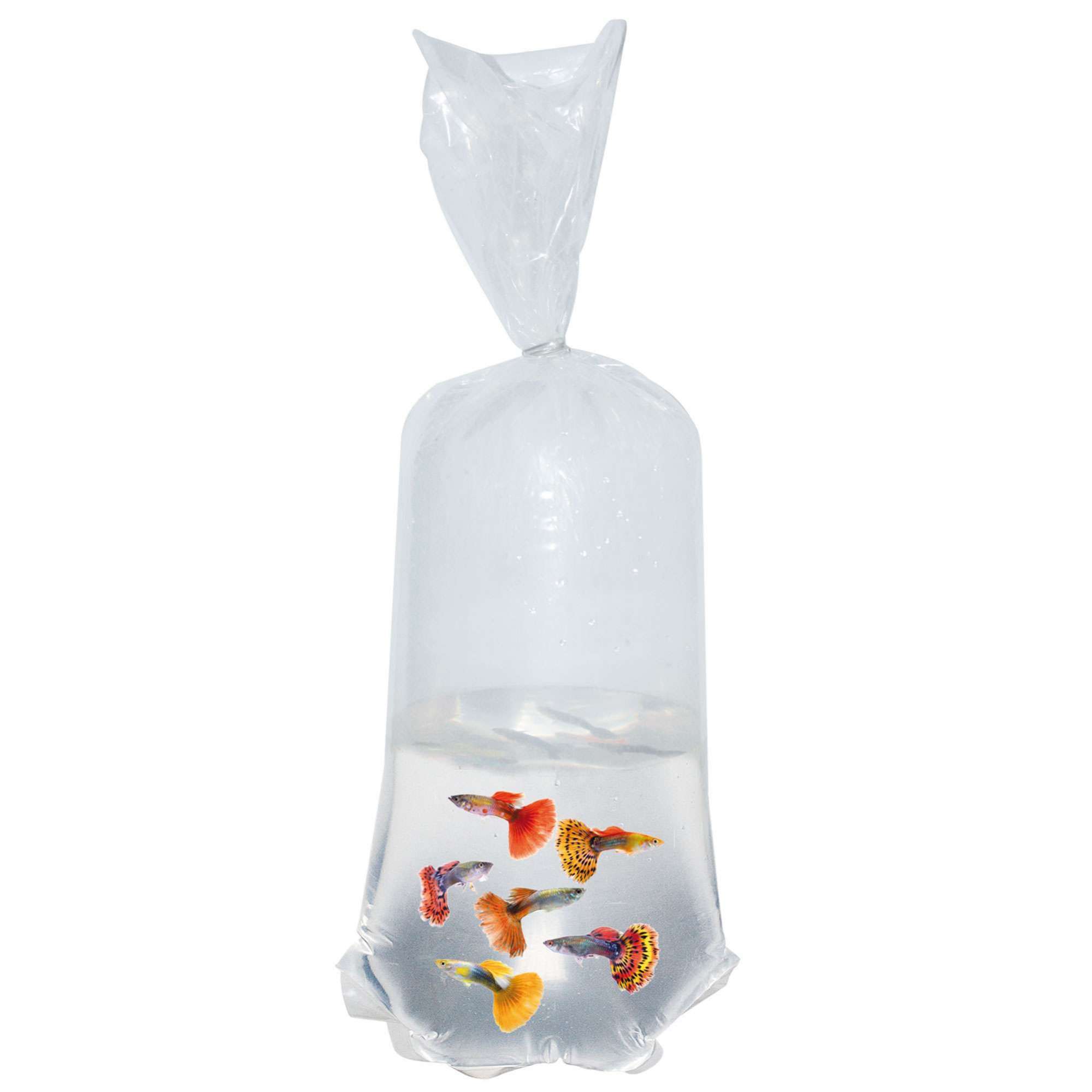 Pack de bolsas con esquinas redondas