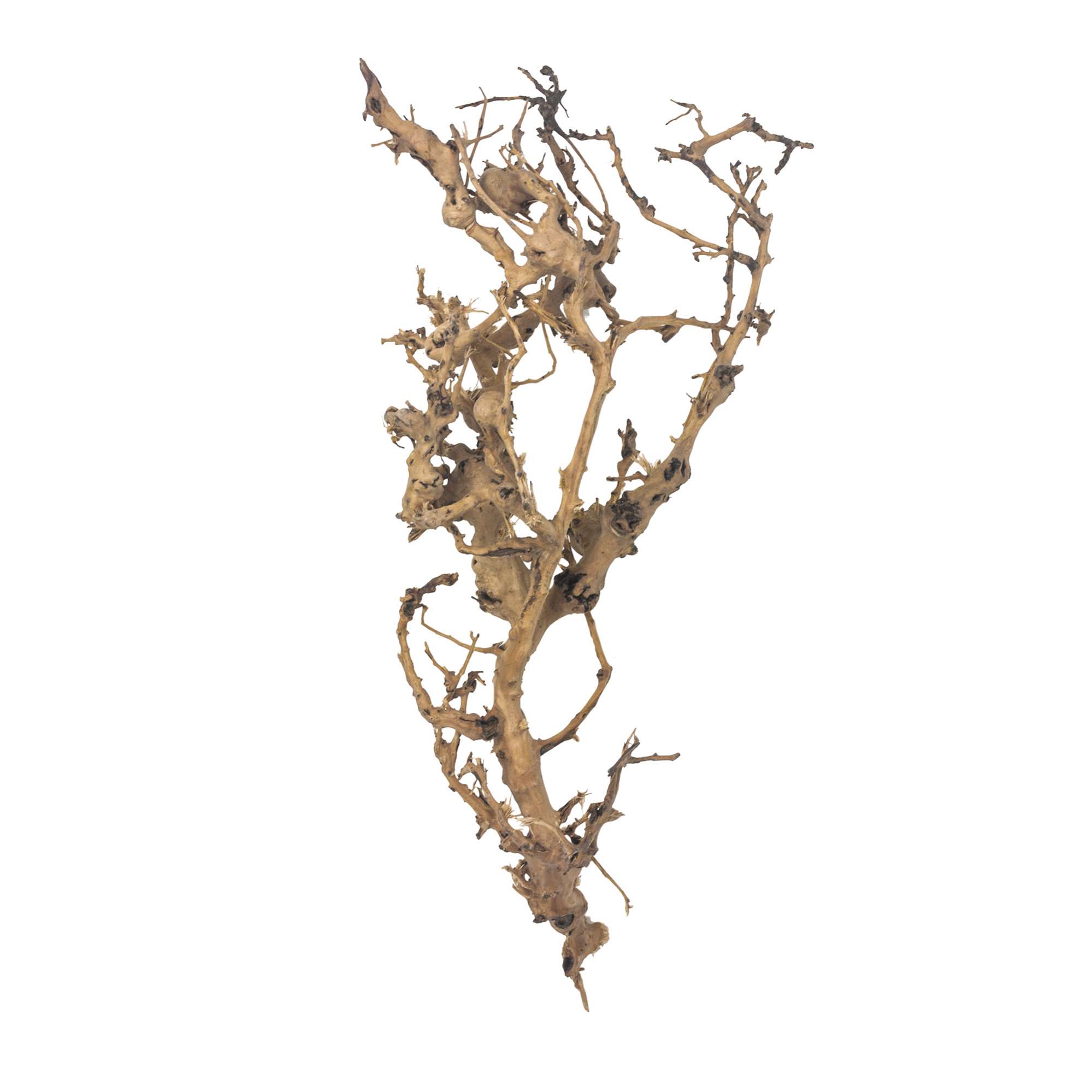 Ramas naturales Thailand Tree Mix (4.5 - 5.5 kg)