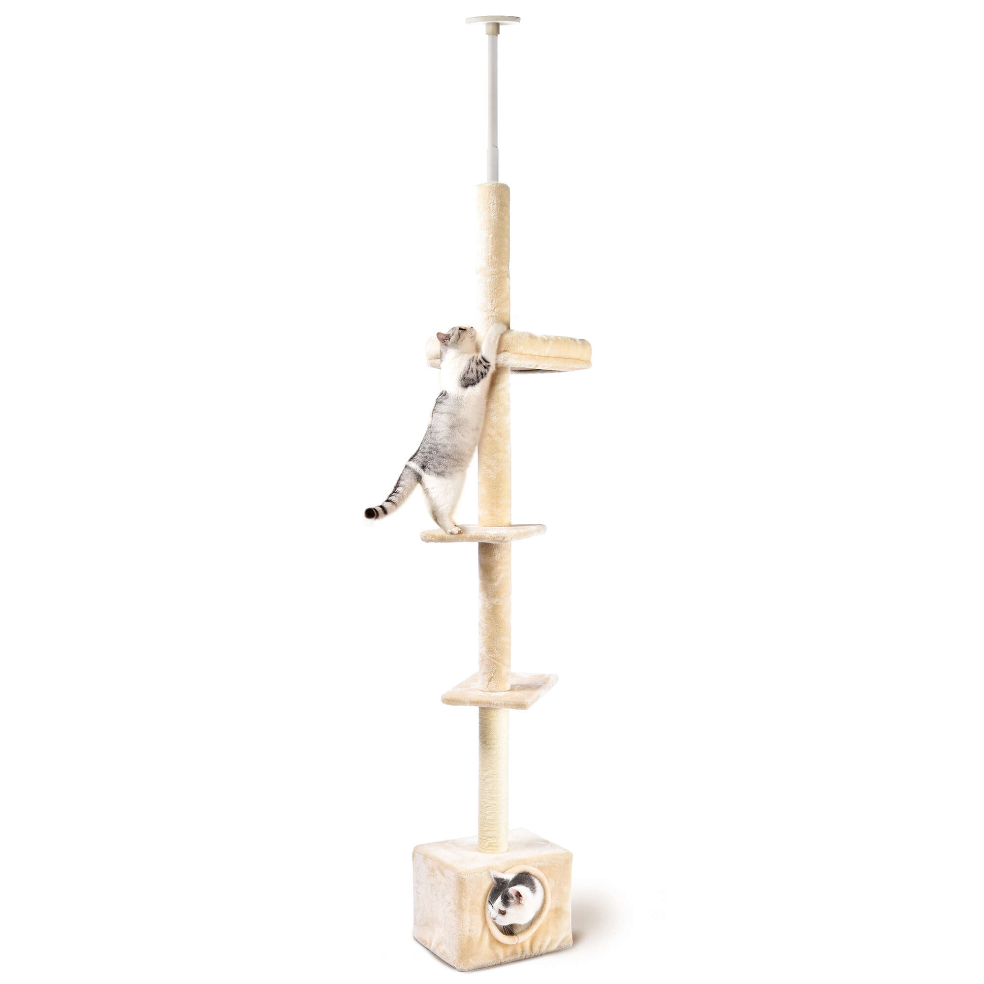Rascador Sky Black & White Premier CAT