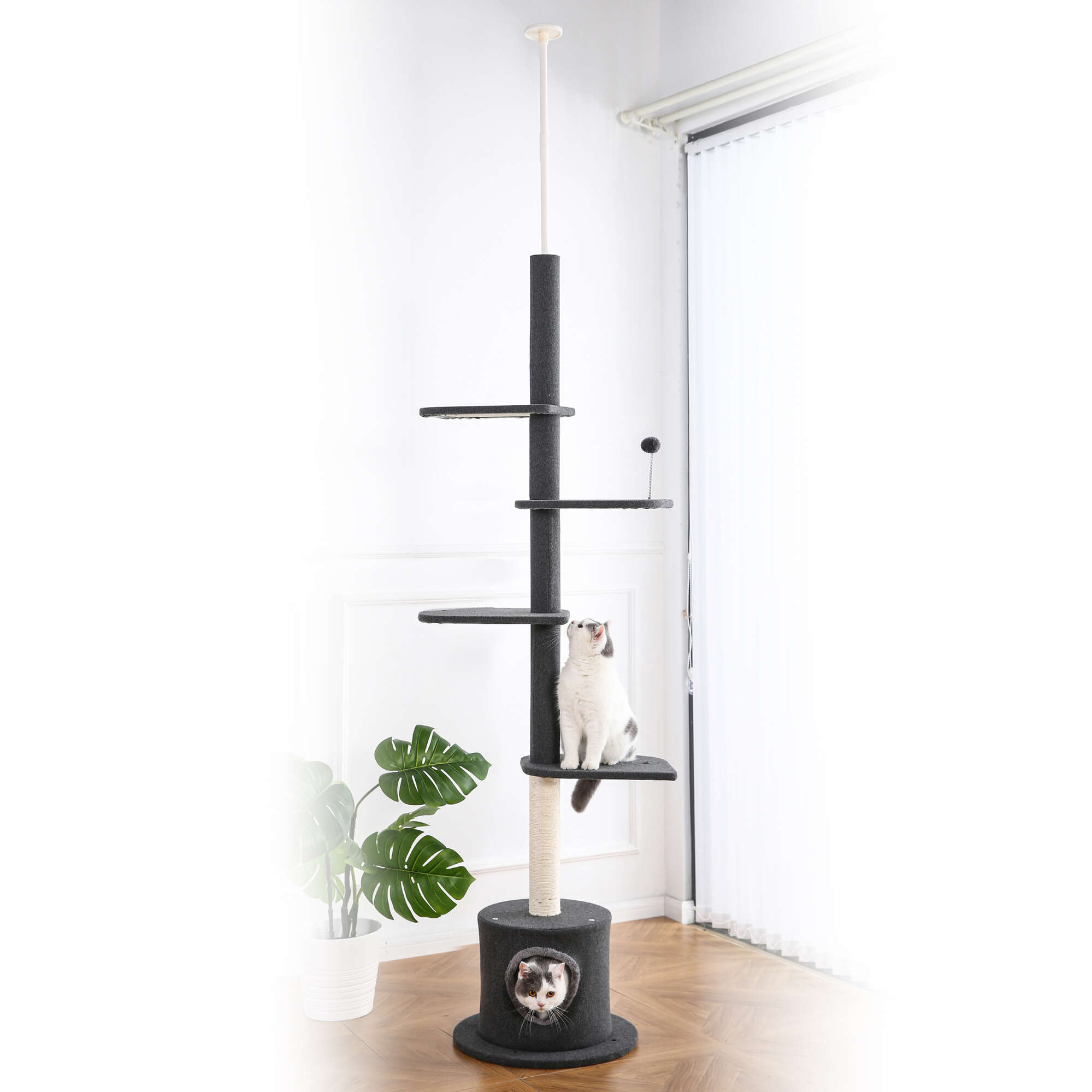 Rascador DIY Premier CAT