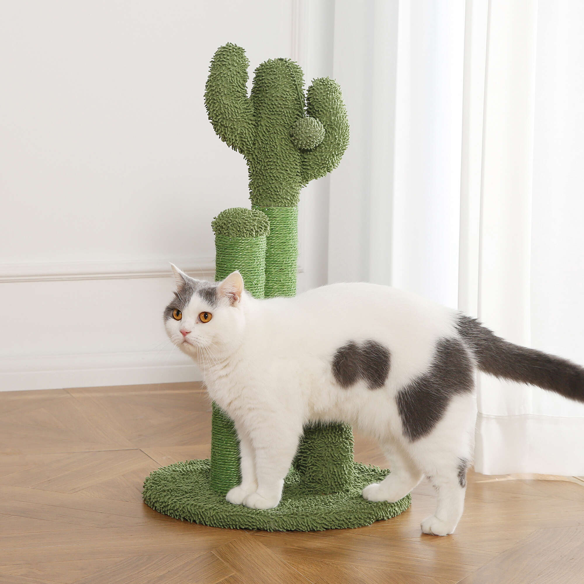 Rascador Cactus My Garden Premier CAT
