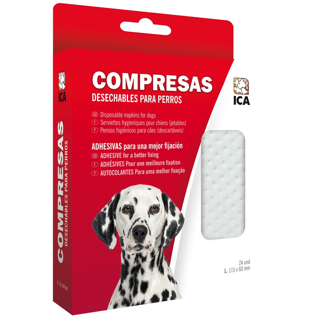 Compresas para braguitas