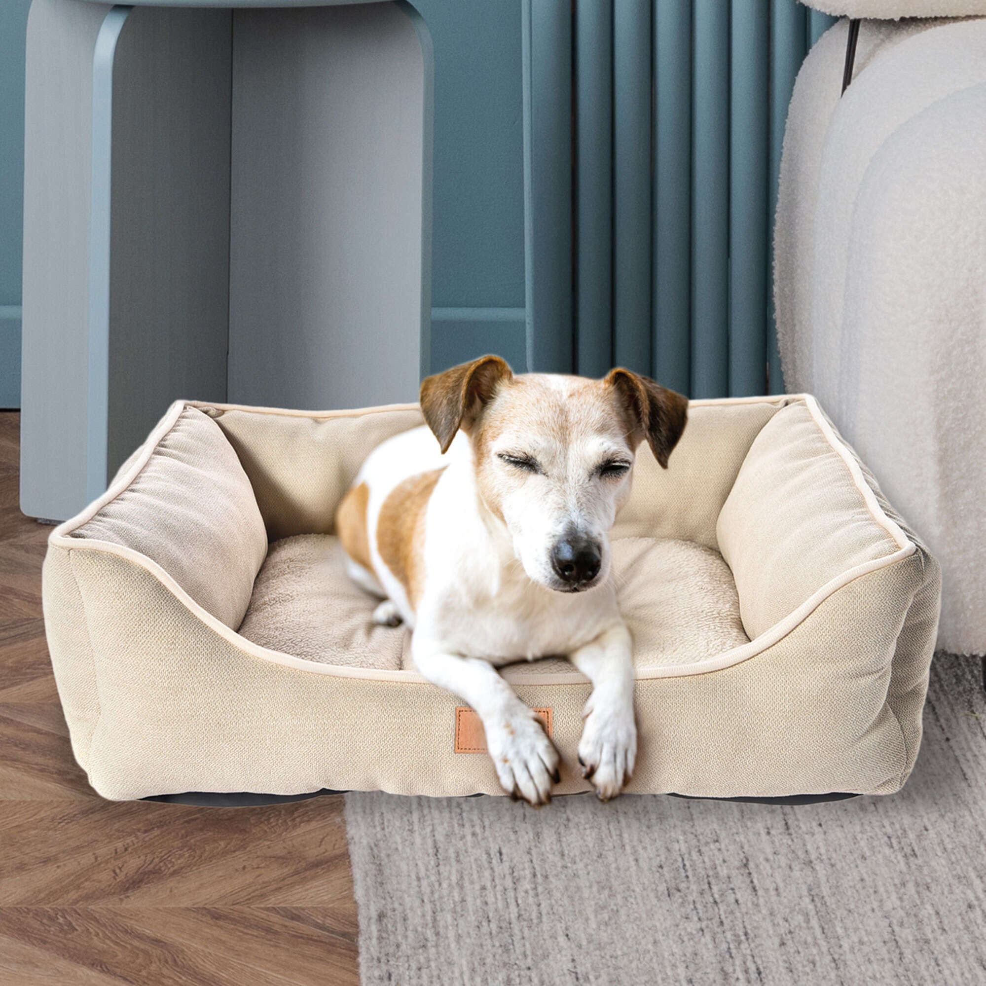 Cuna Daily Premier DOG arena
