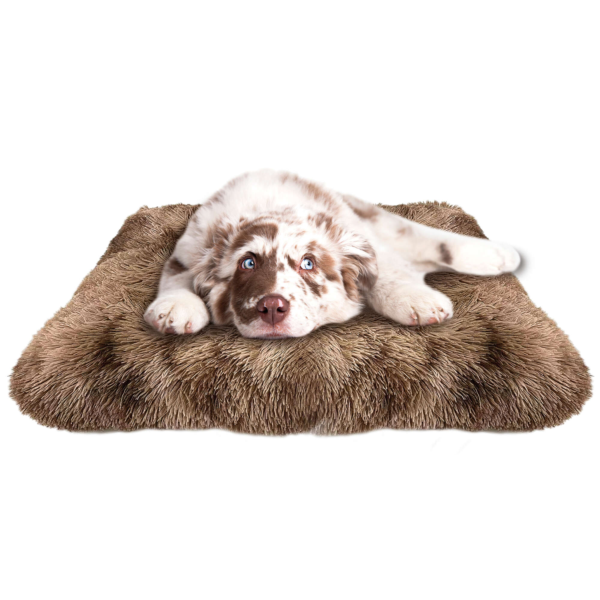 Cuna Silk Premier DOG marrón