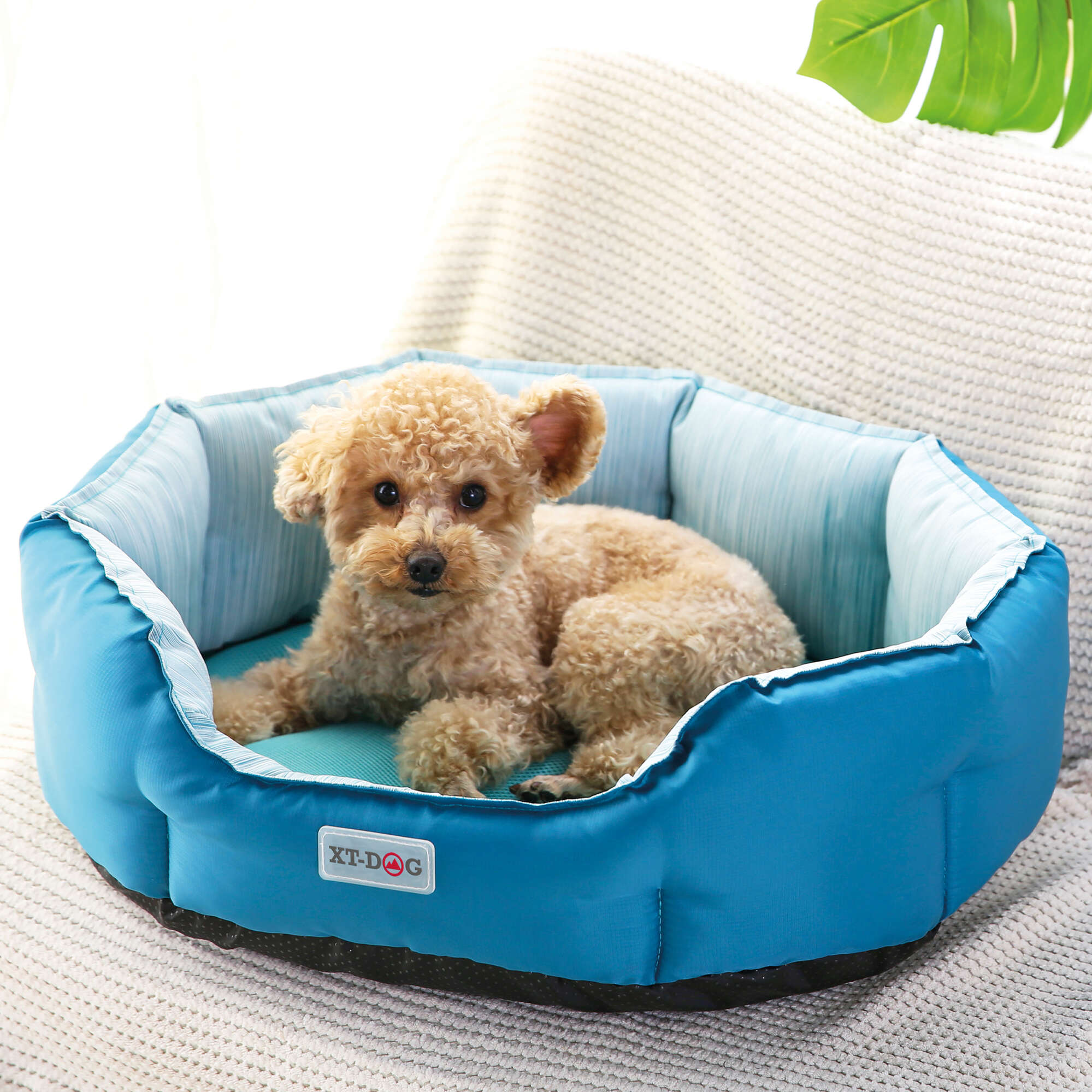 Cuna Refrescante COOL XT-DOG