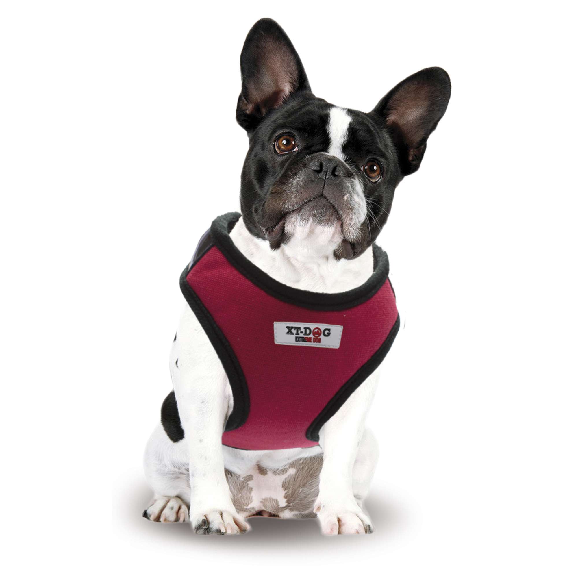 Arnés Sport rojo XT-DOG