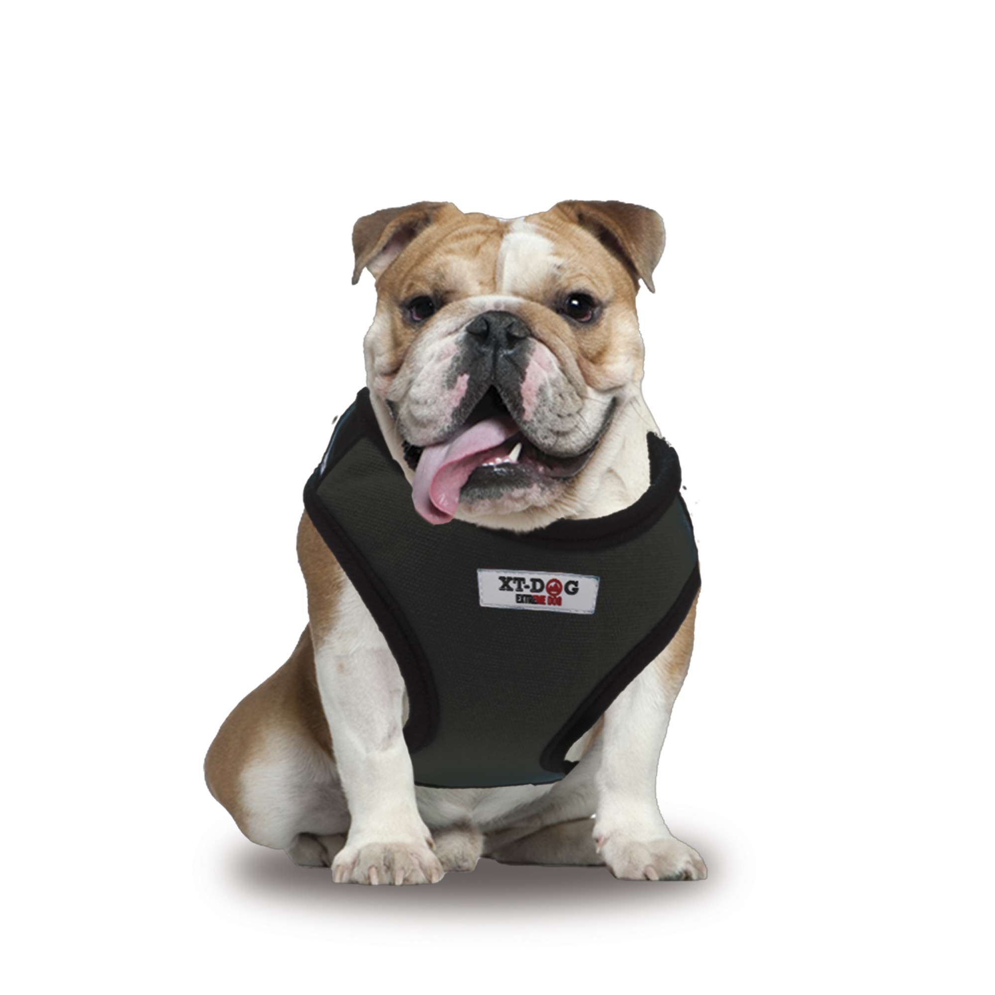 Arnés Sport negro XT-DOG