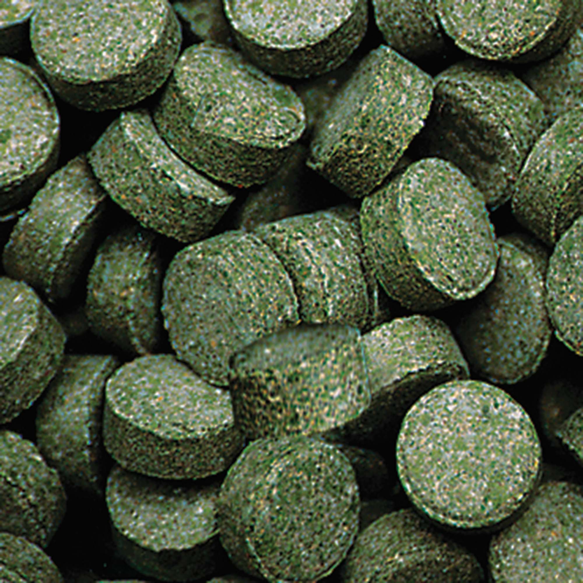 Alimento SPIRULINA TABLETS de DAJANA