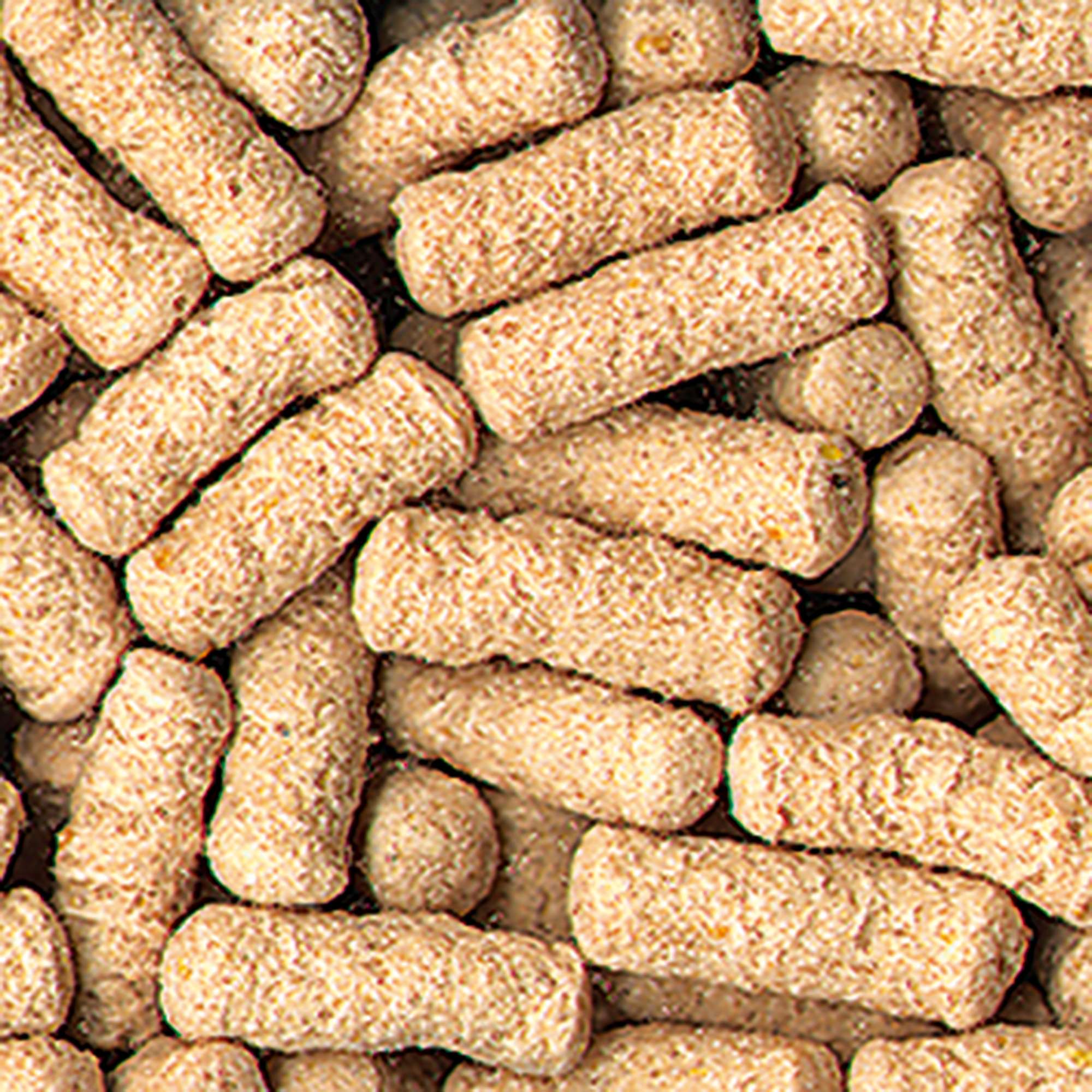 Alimentos para peces de estanque STICKS BASIC de DAJANA