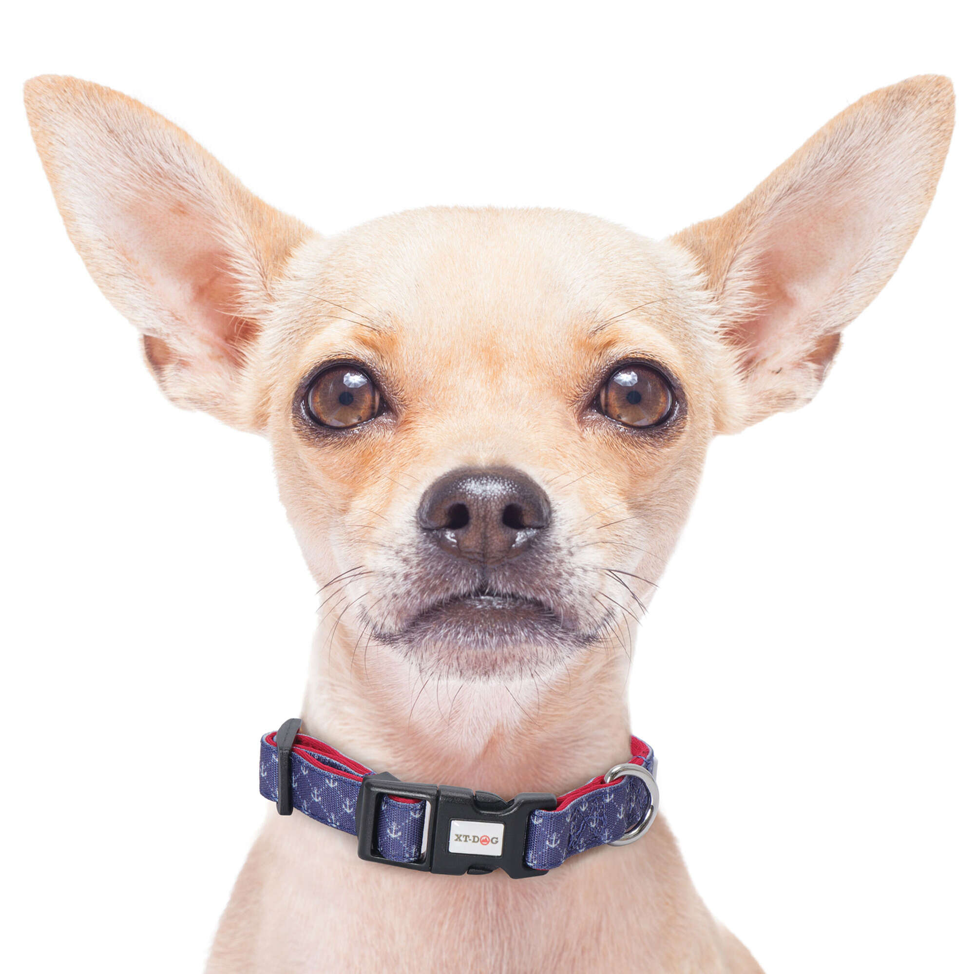Collar Anclas acolchado XT-DOG