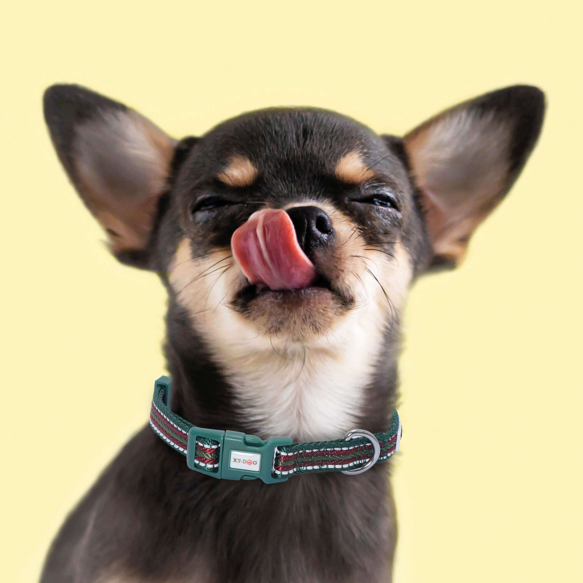 Collar Franjas XT-DOG verde