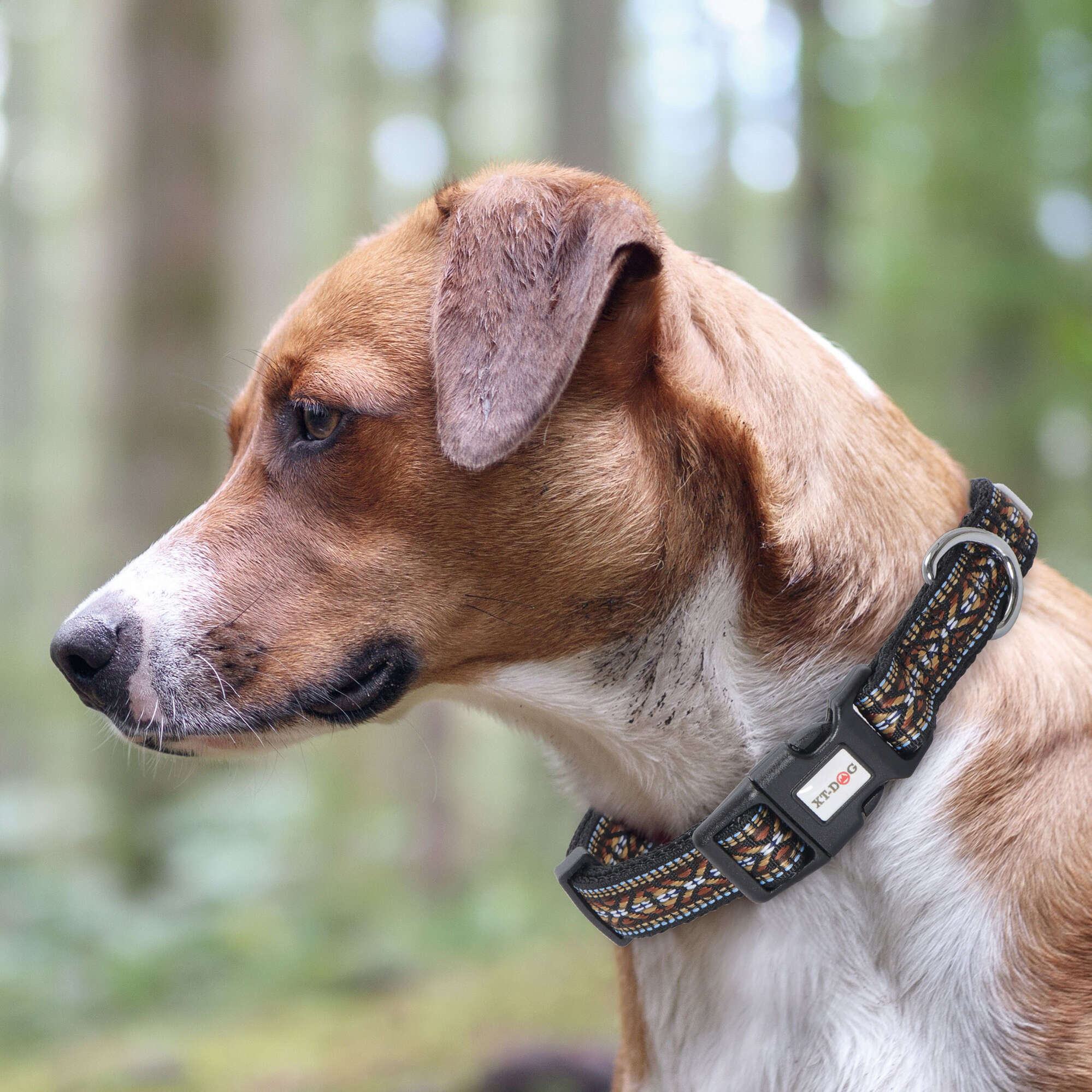 Collar Tribal XT-DOG