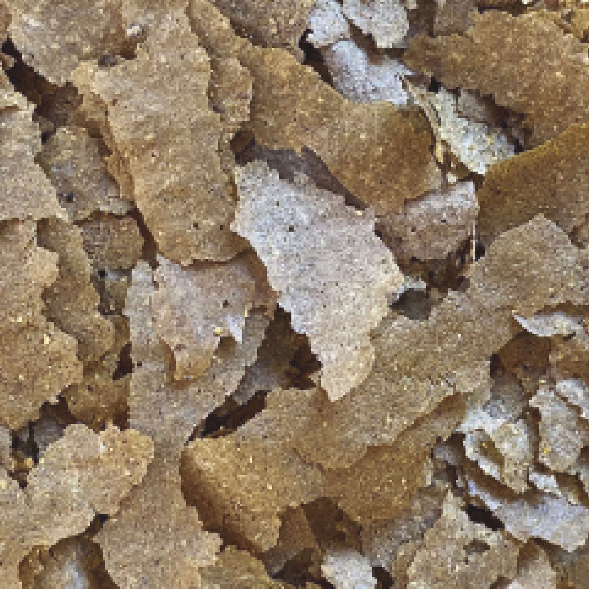 Escamas para peces tropicales INSECT SUPERFOOD