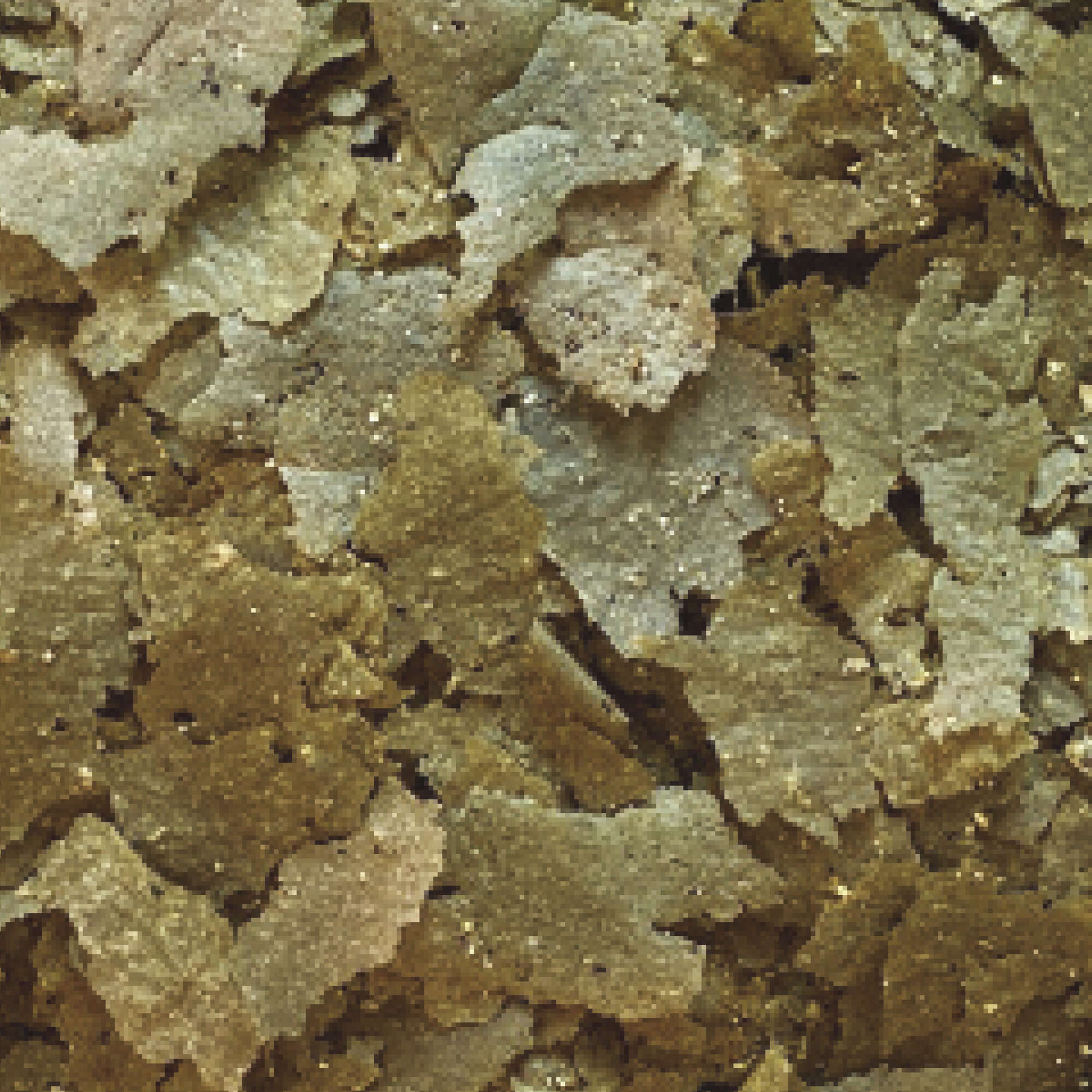Escamas vegetales INSECT SUPERFOOD