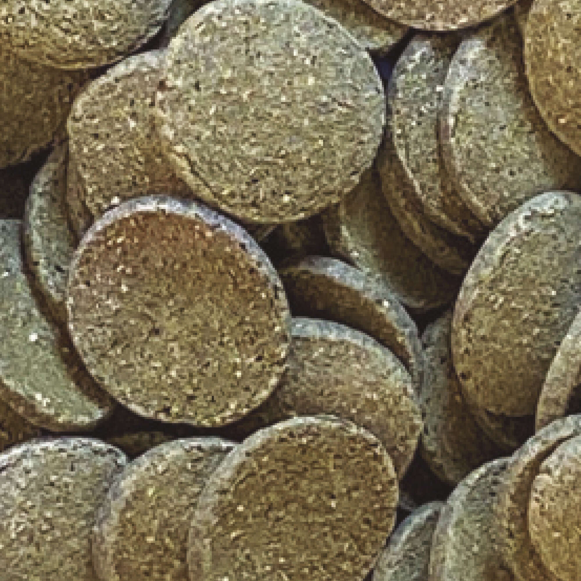 Pastillas vegetales para peces de fondo INSECT SUPERFOOD