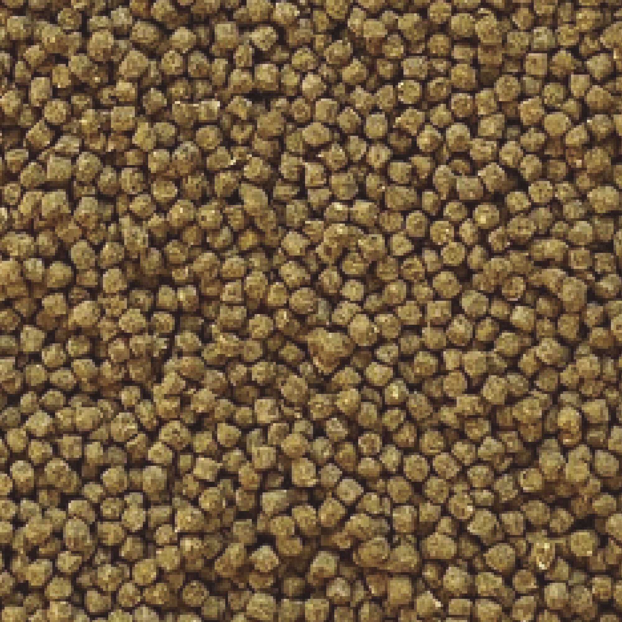 Pellets para peces de estanque INSECT SUPERFOOD