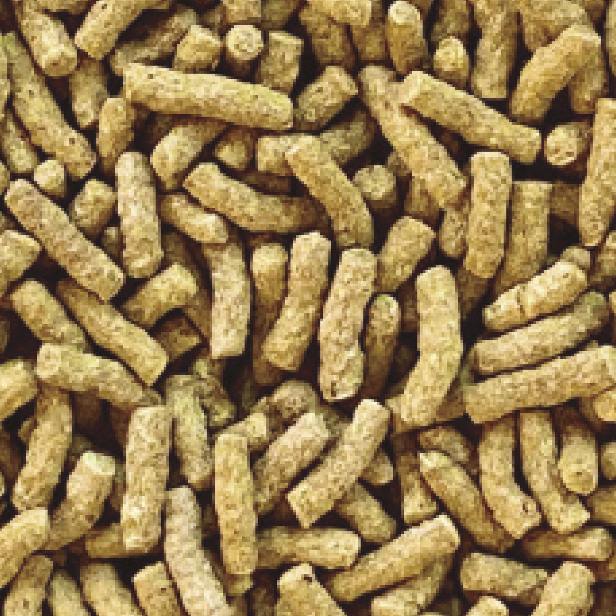 Sticks para peces de estanque INSECT SUPERFOOD