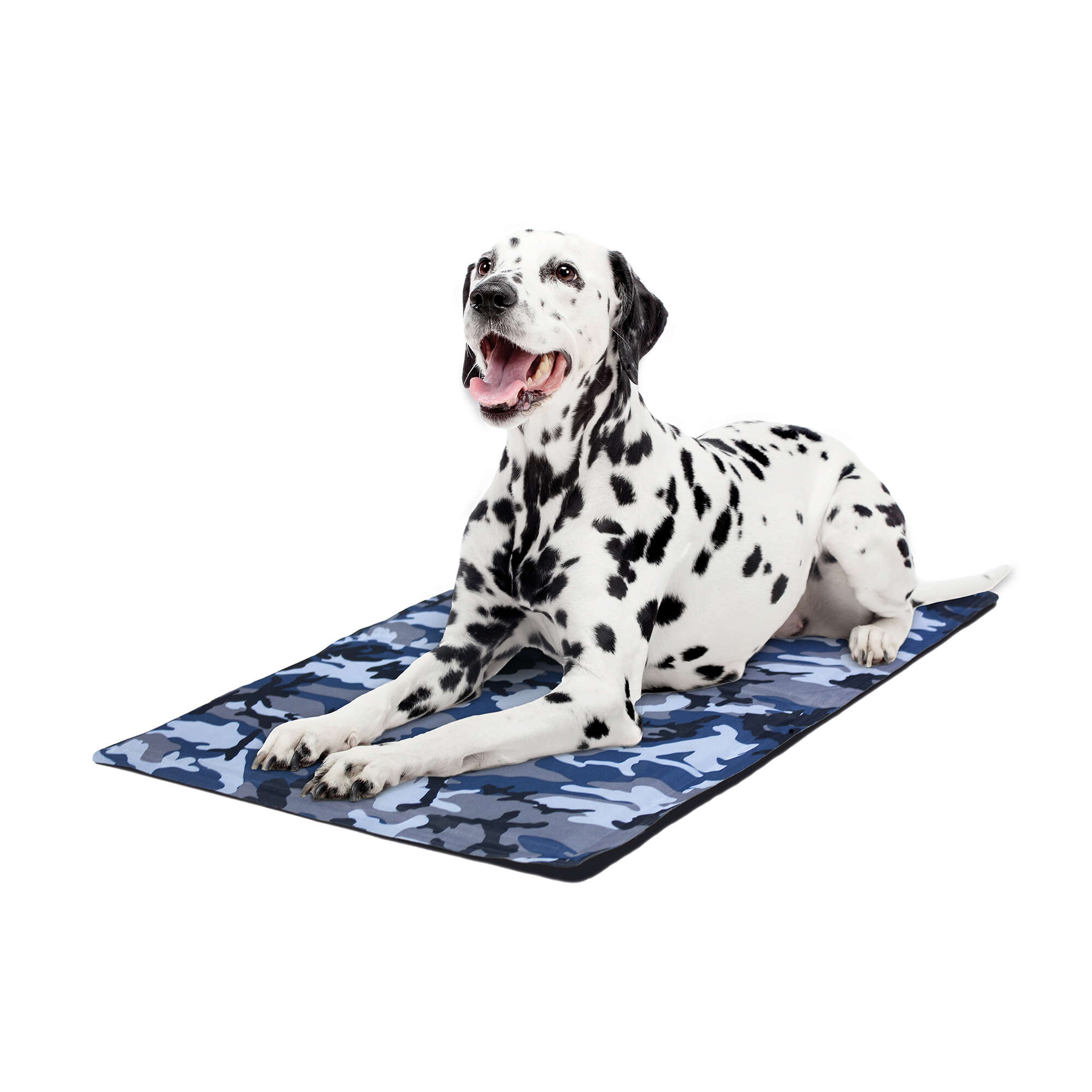 Esterilla refrescante ALPHA DOG