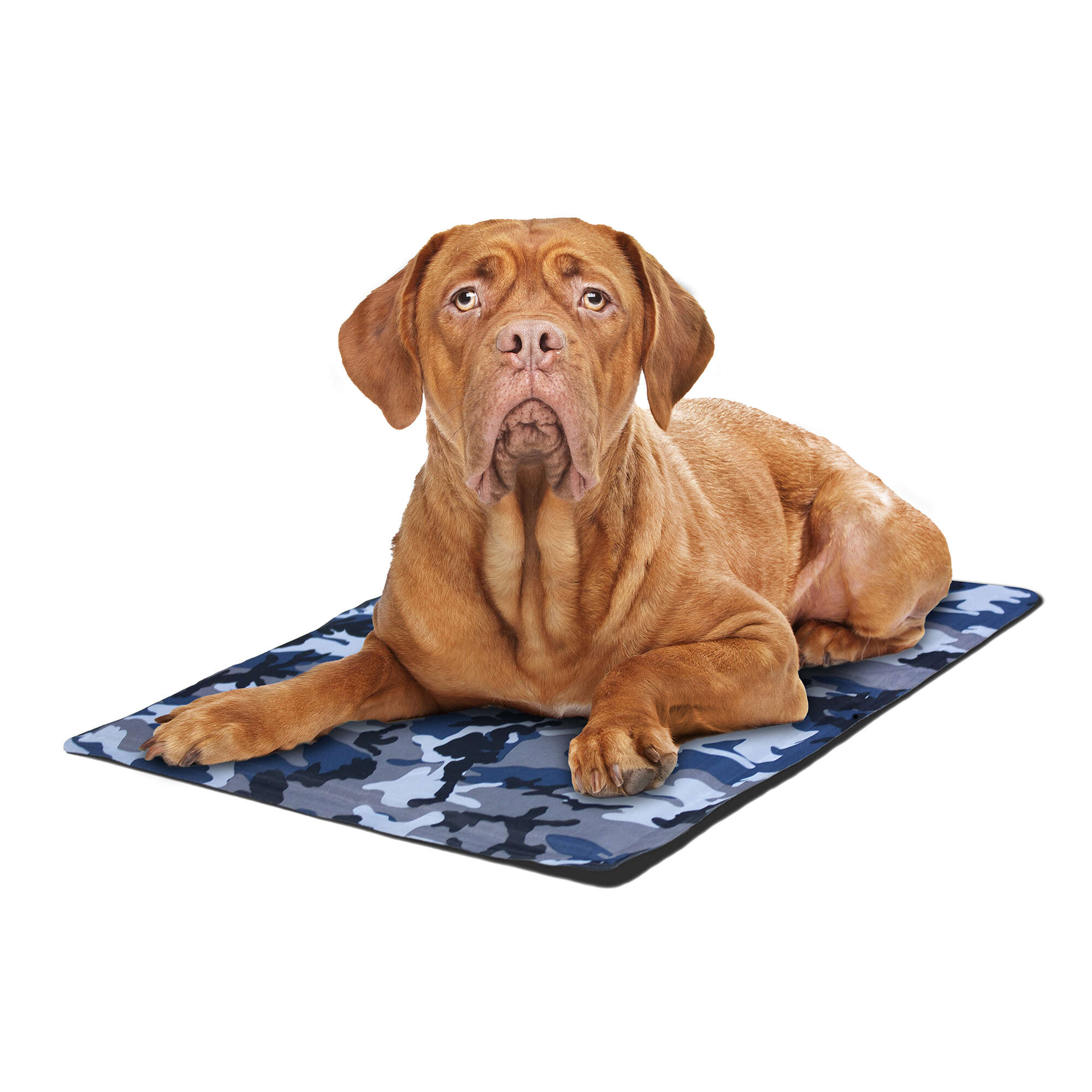 Esterilla refrescante ALPHA DOG
