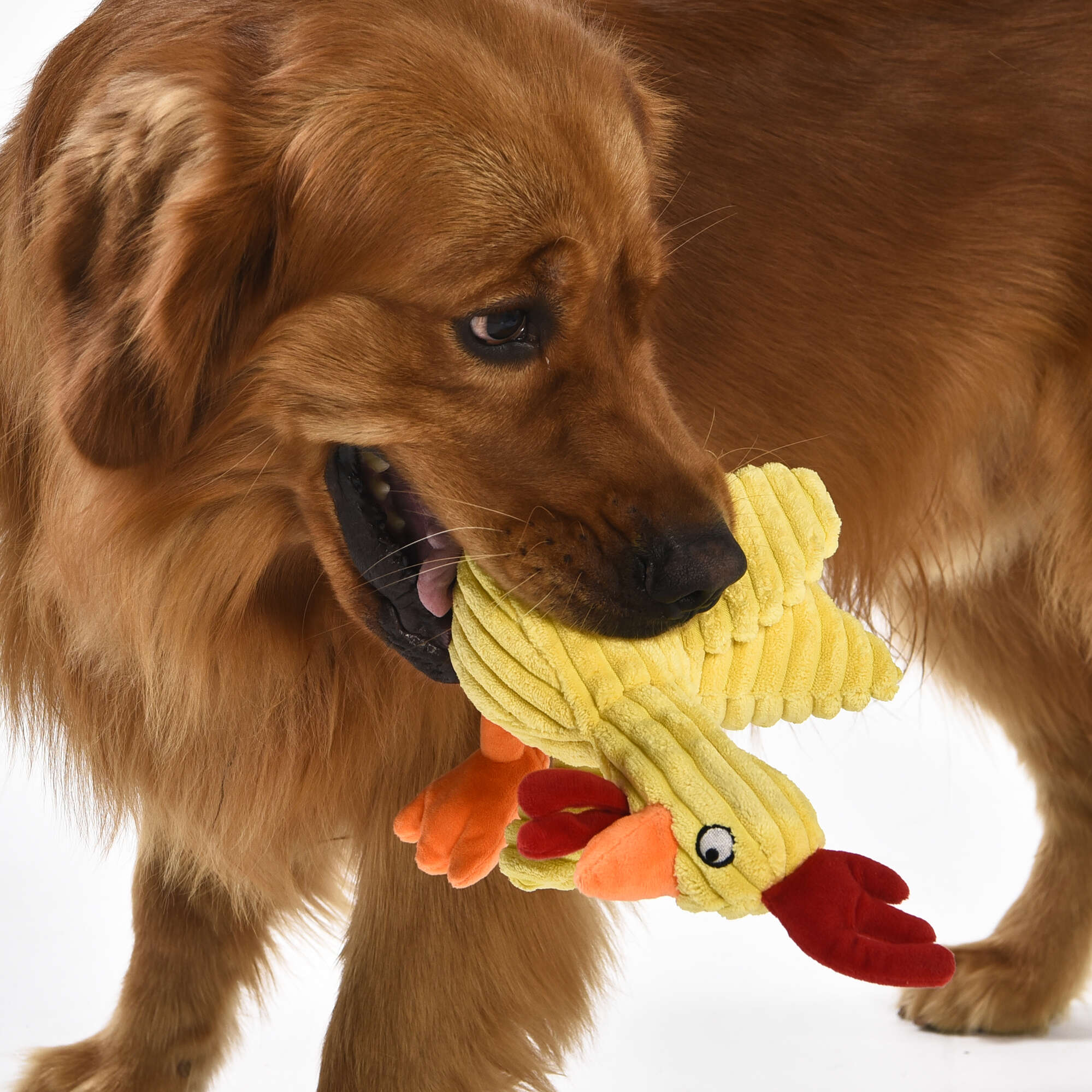 Juguete Gallina Premier DOG