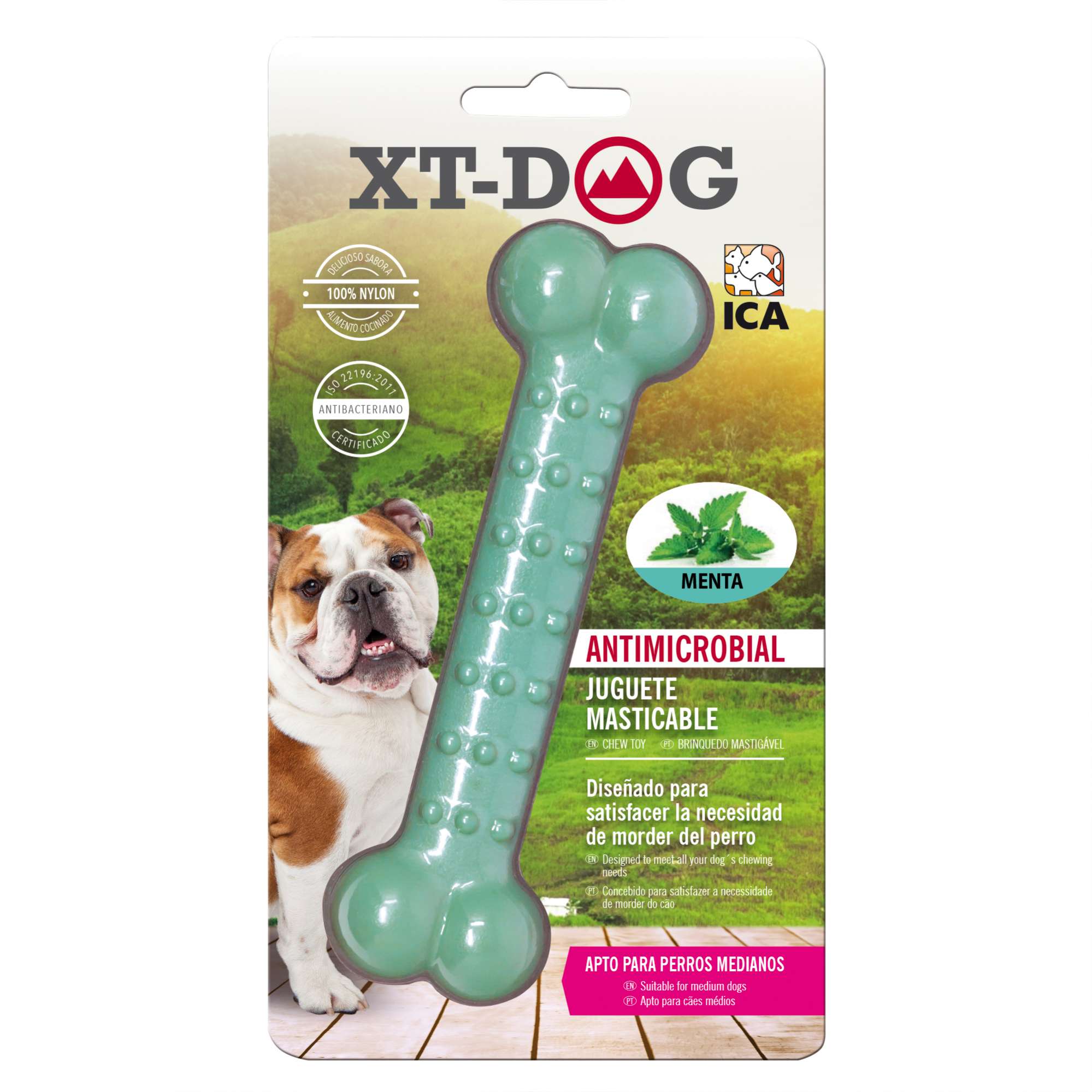 Huesito Dental Bone Nylon Menta de XT-DOG