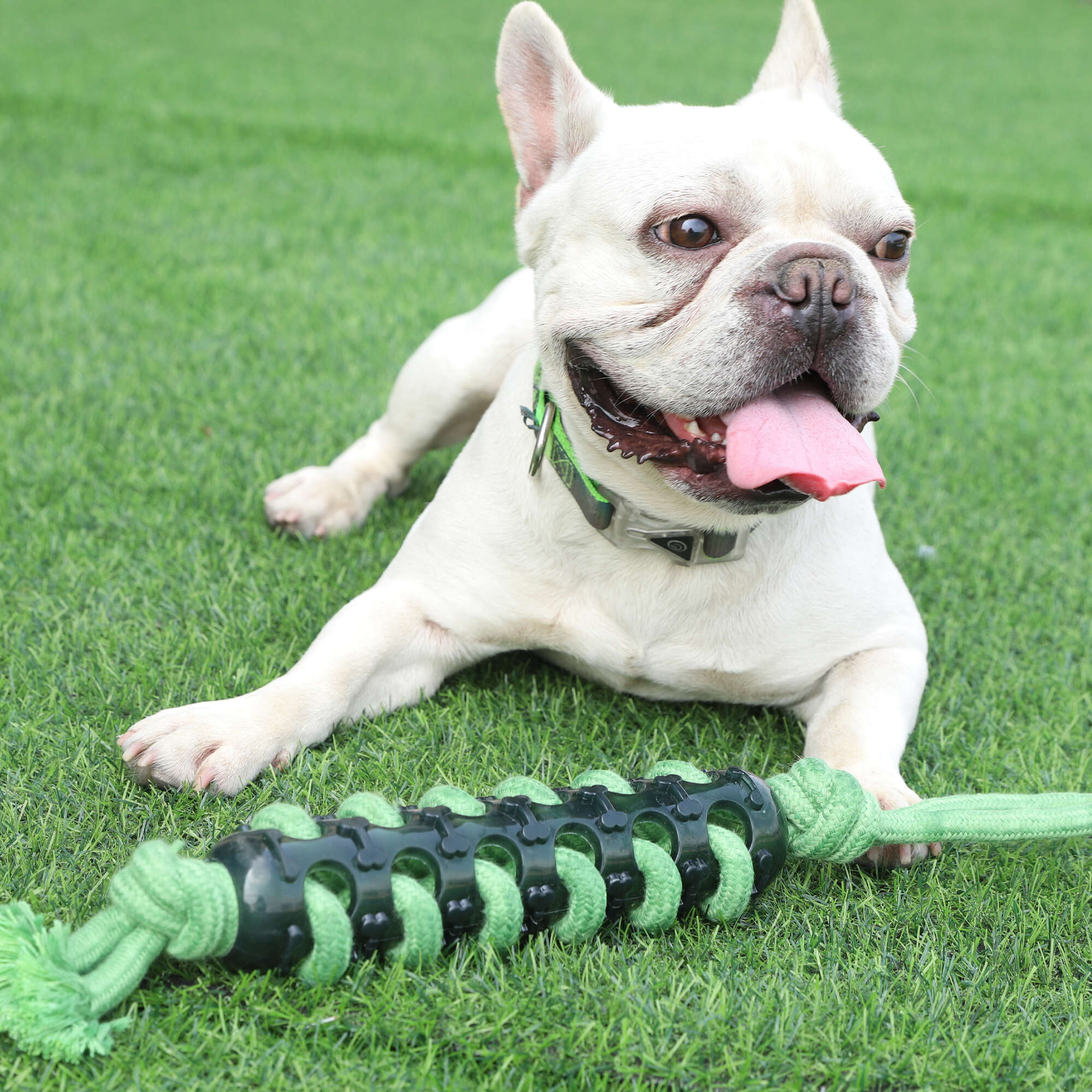 Juguete de cuerda trenzado Strong XT-DOG
