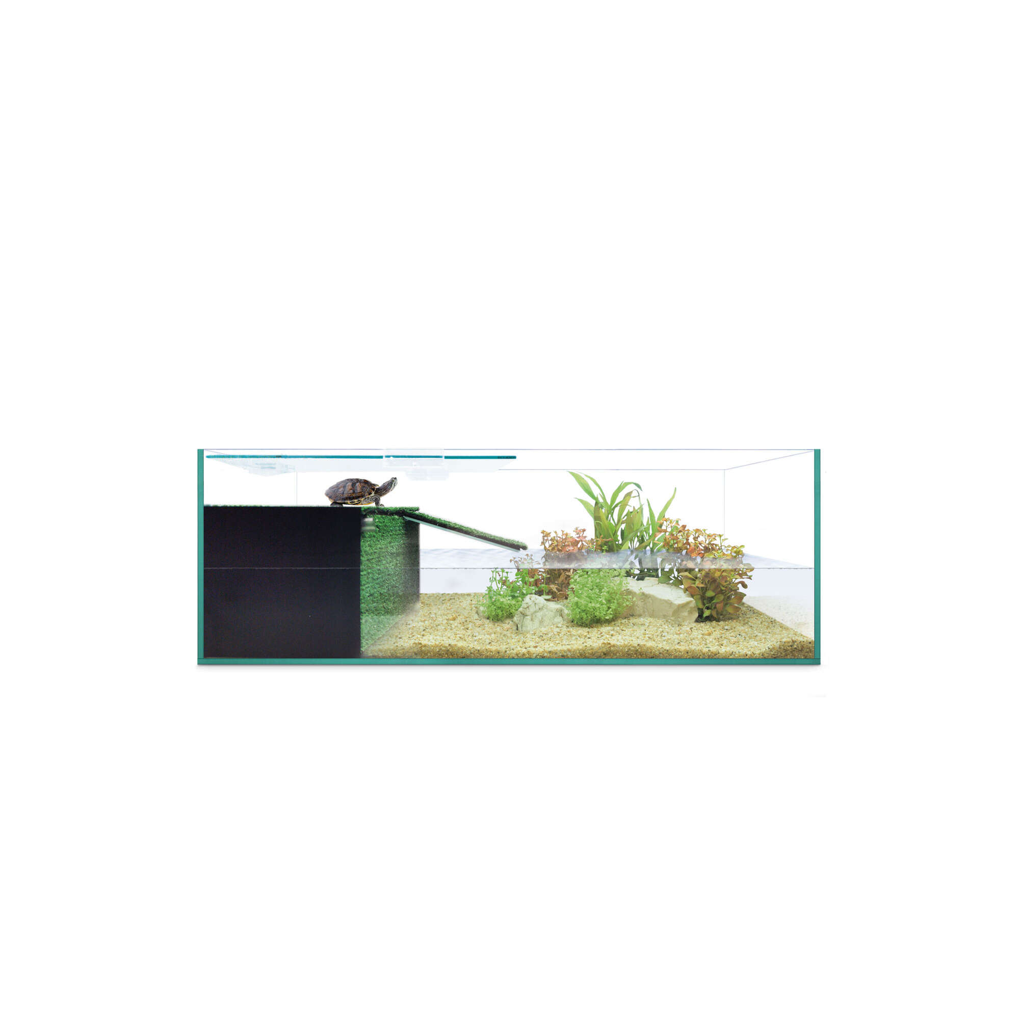 Kit tortuguera HABITAT REPTI-SELVA
