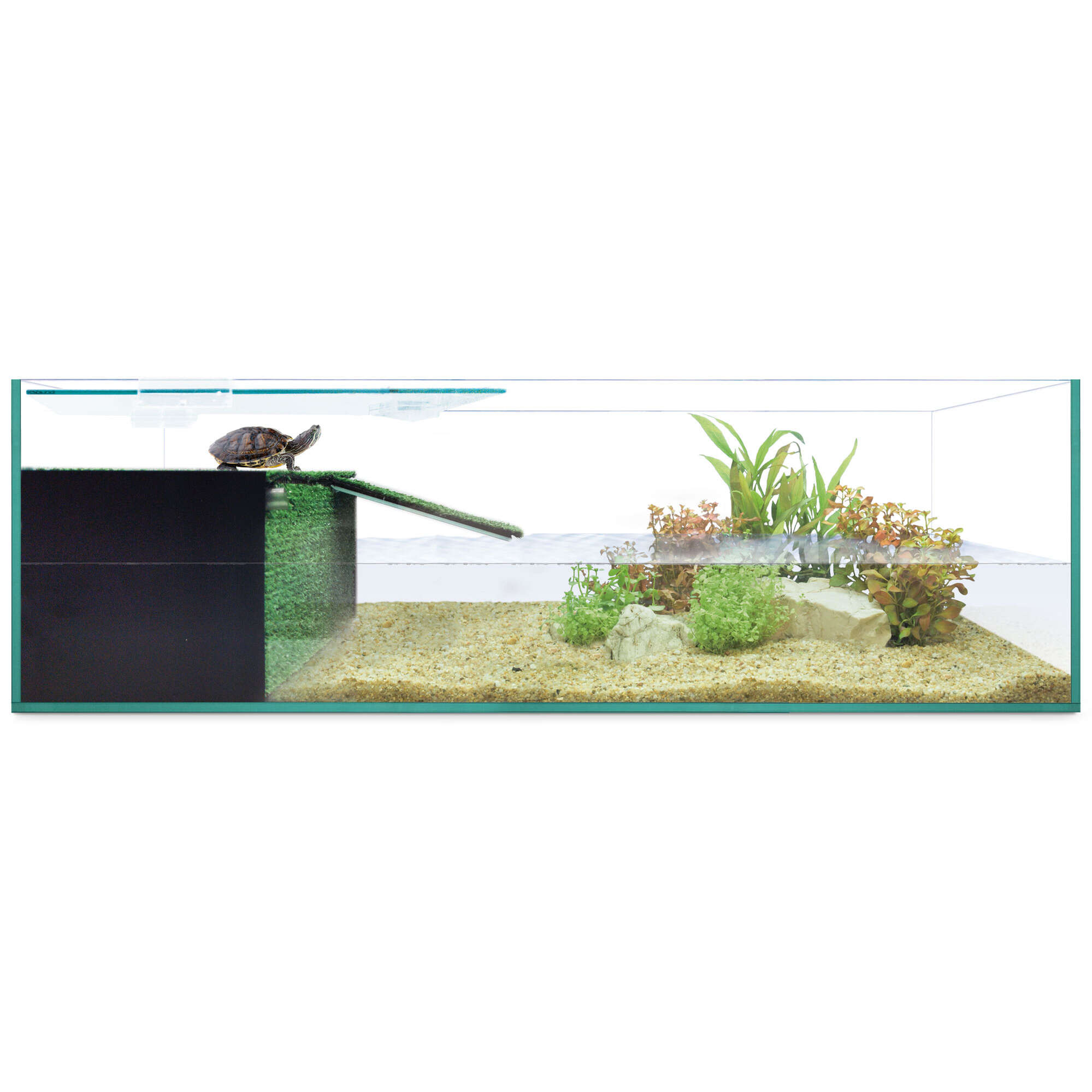Kit tortuguera HABITAT REPTI-SELVA