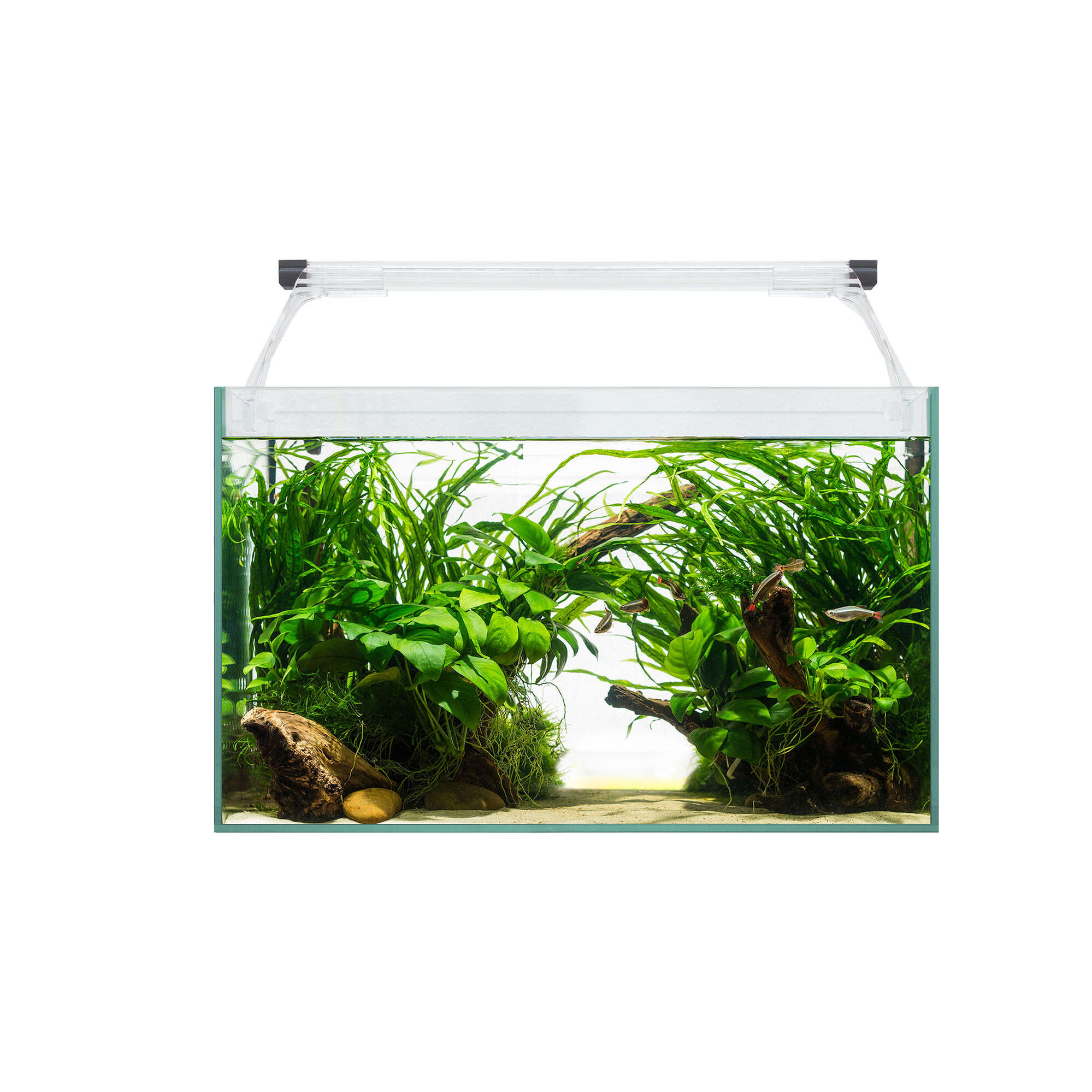 Kit AQUA LIGHT Glass 40