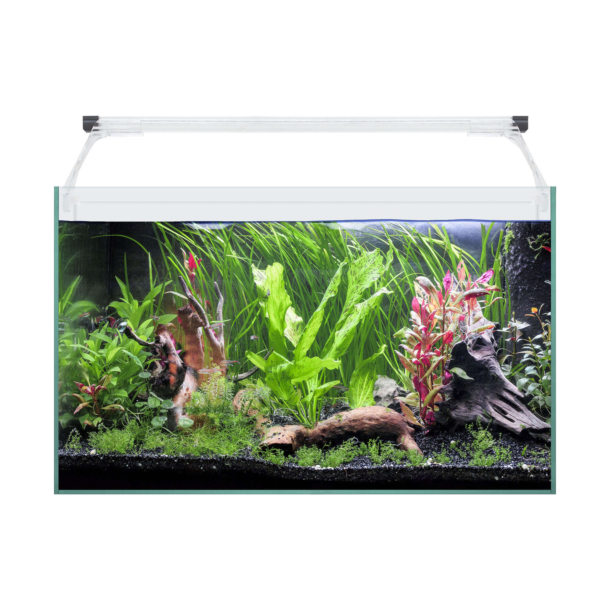 Kit AQUA LIGHT Glass 50