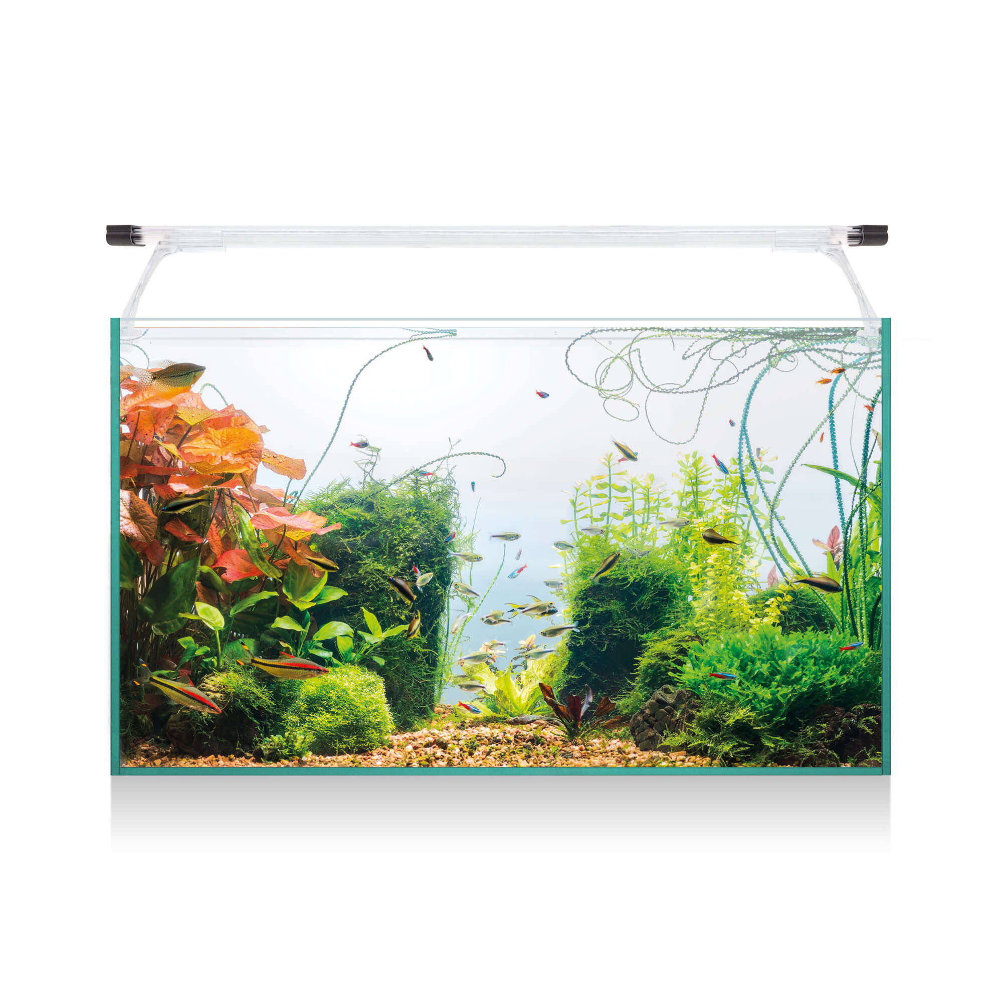 Kit AQUA LIGHT Glass 60