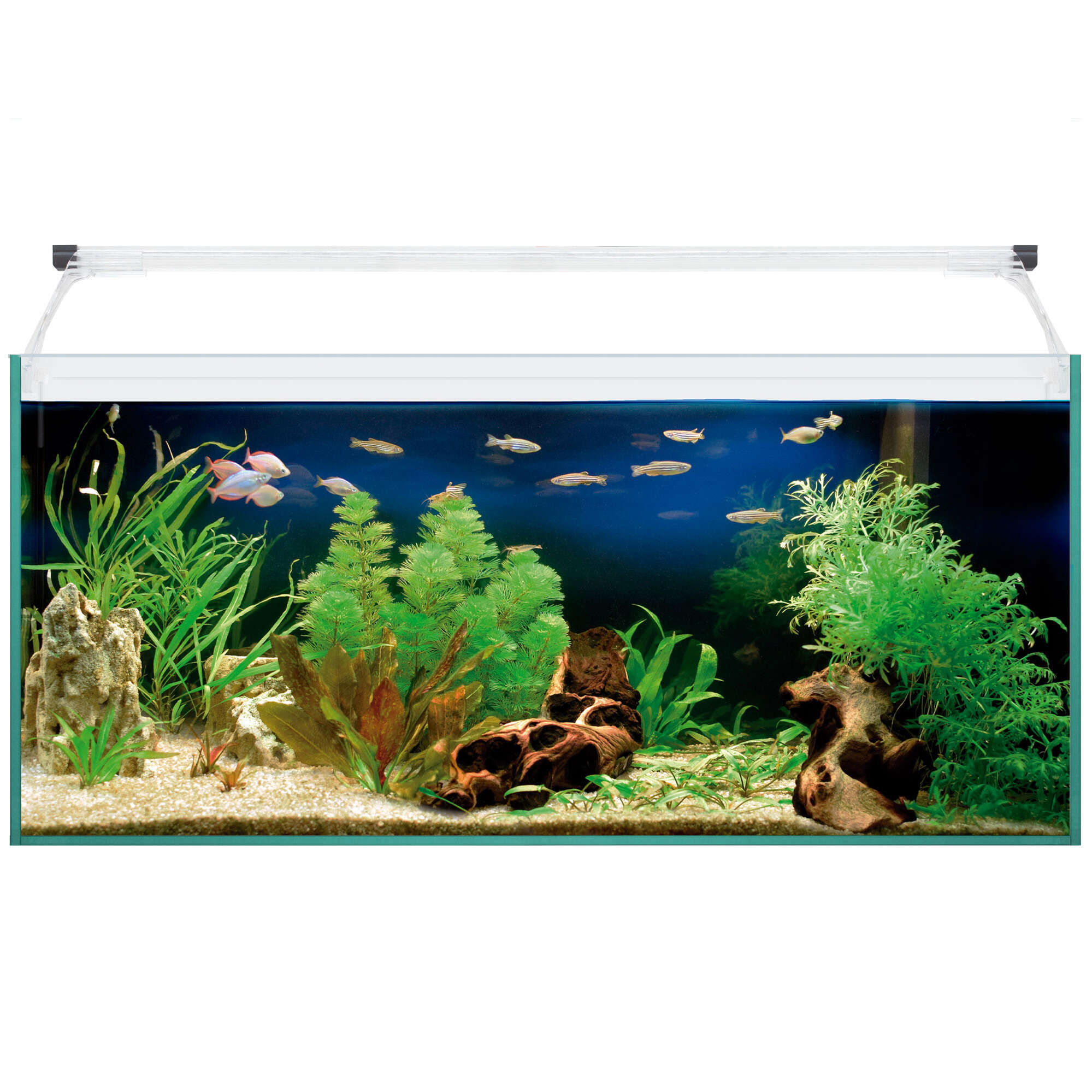Kit AQUA LIGHT Glass 80