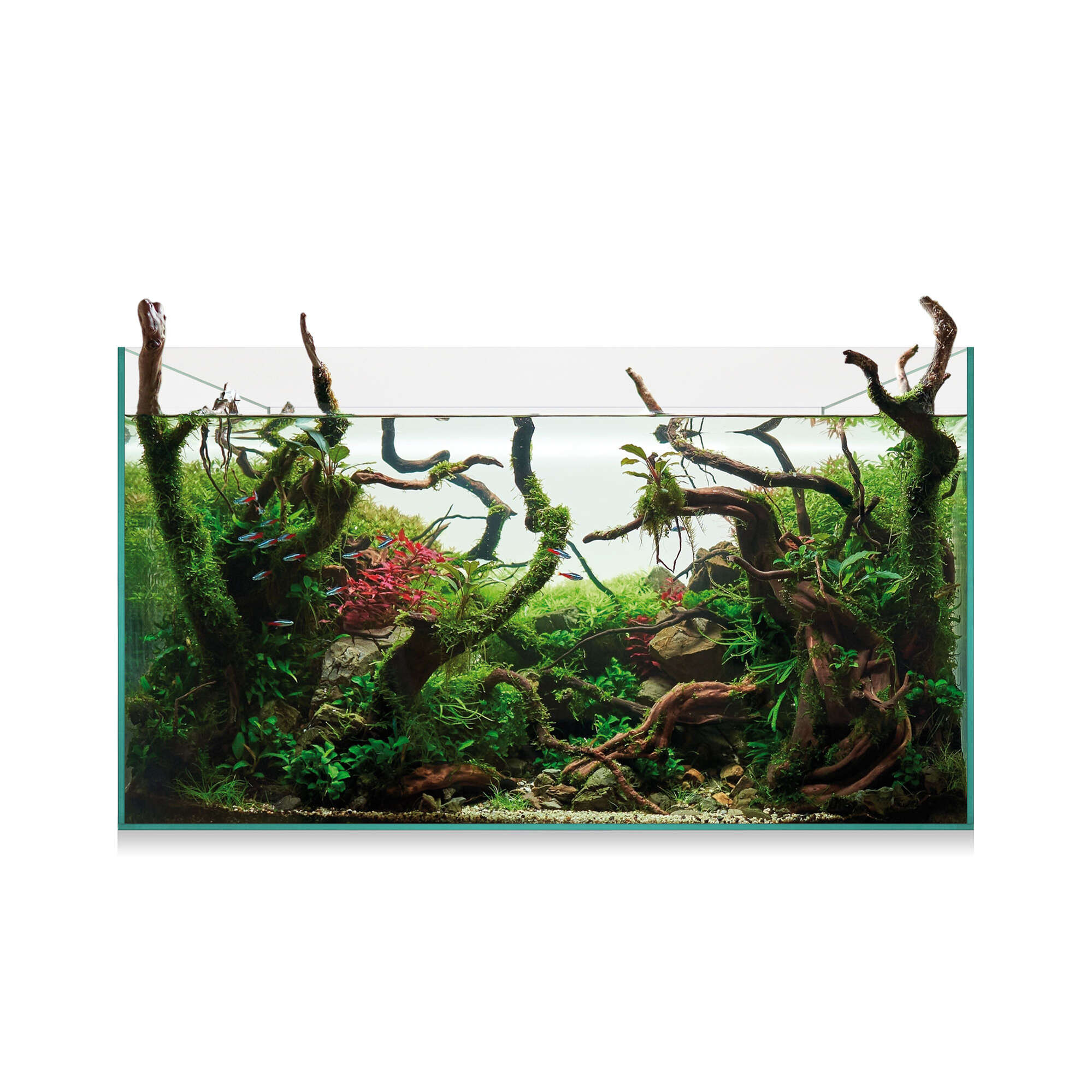 Kit Aquascape 145