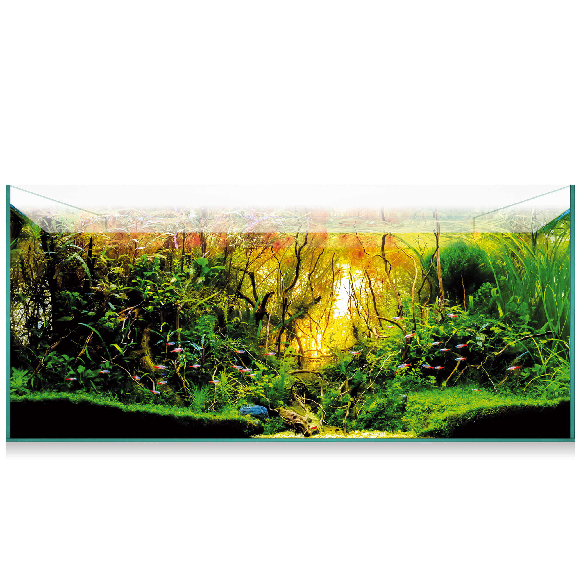 Kit Aquascape 180