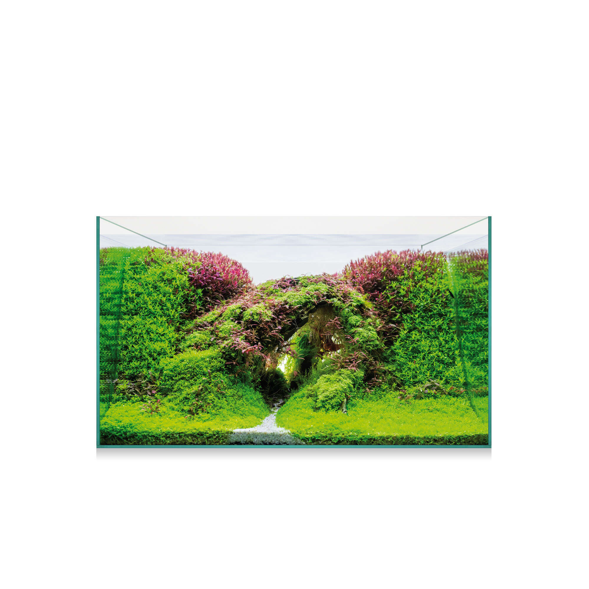 Kit Aquascape 75