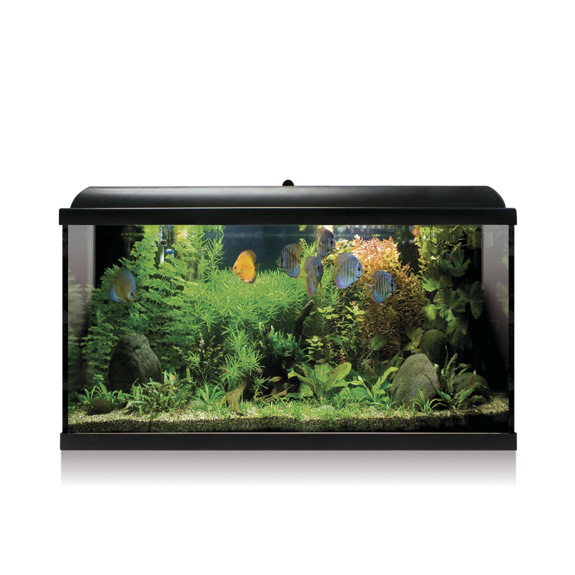 Kit AQUA LED PRO 100 negro