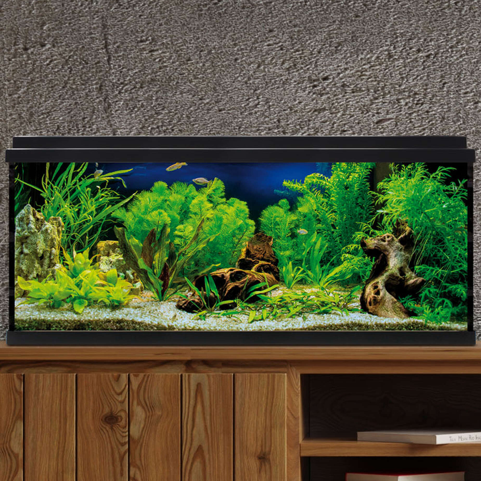 Kit AQUA LED 100 negro