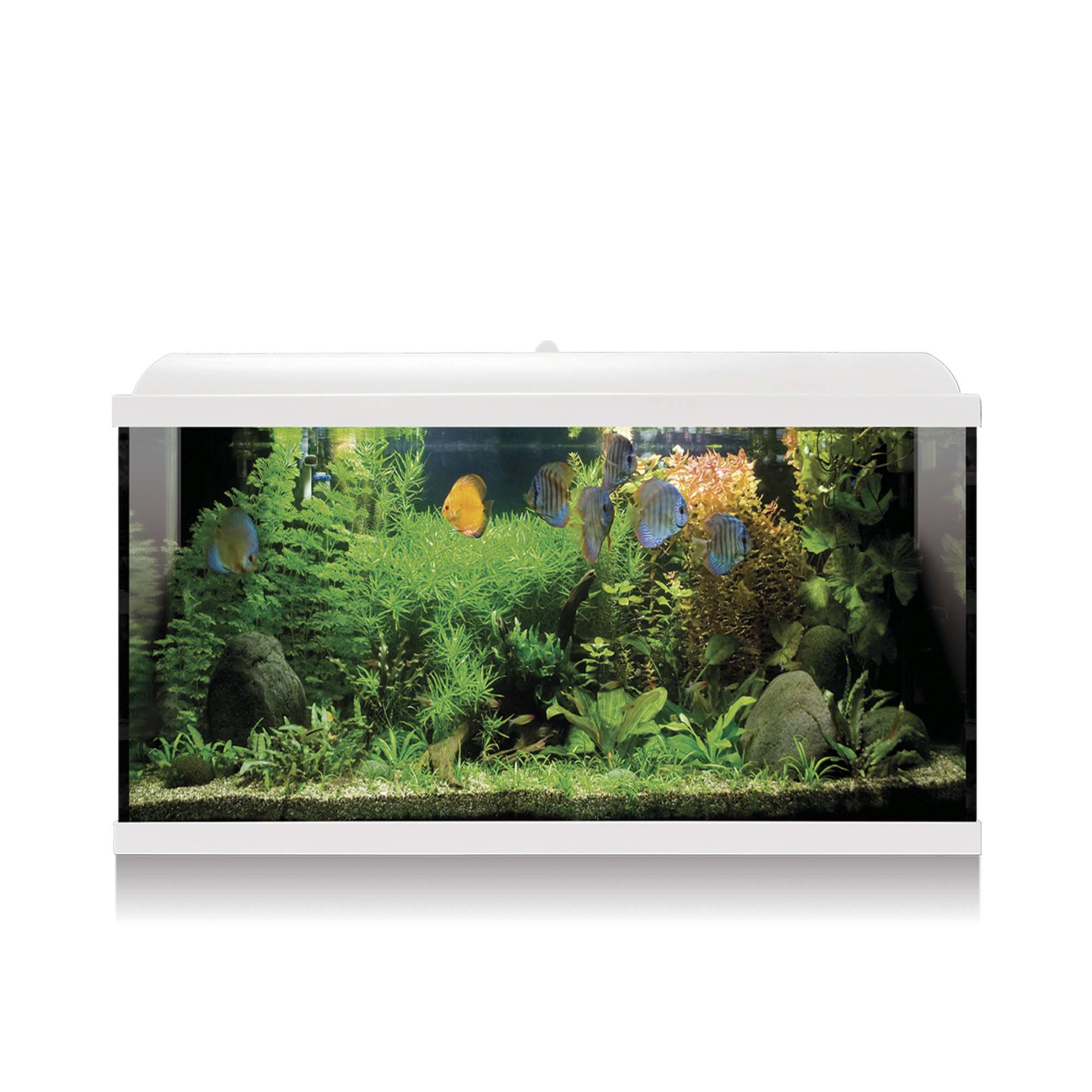Kit AQUA LED PRO 100 blanco