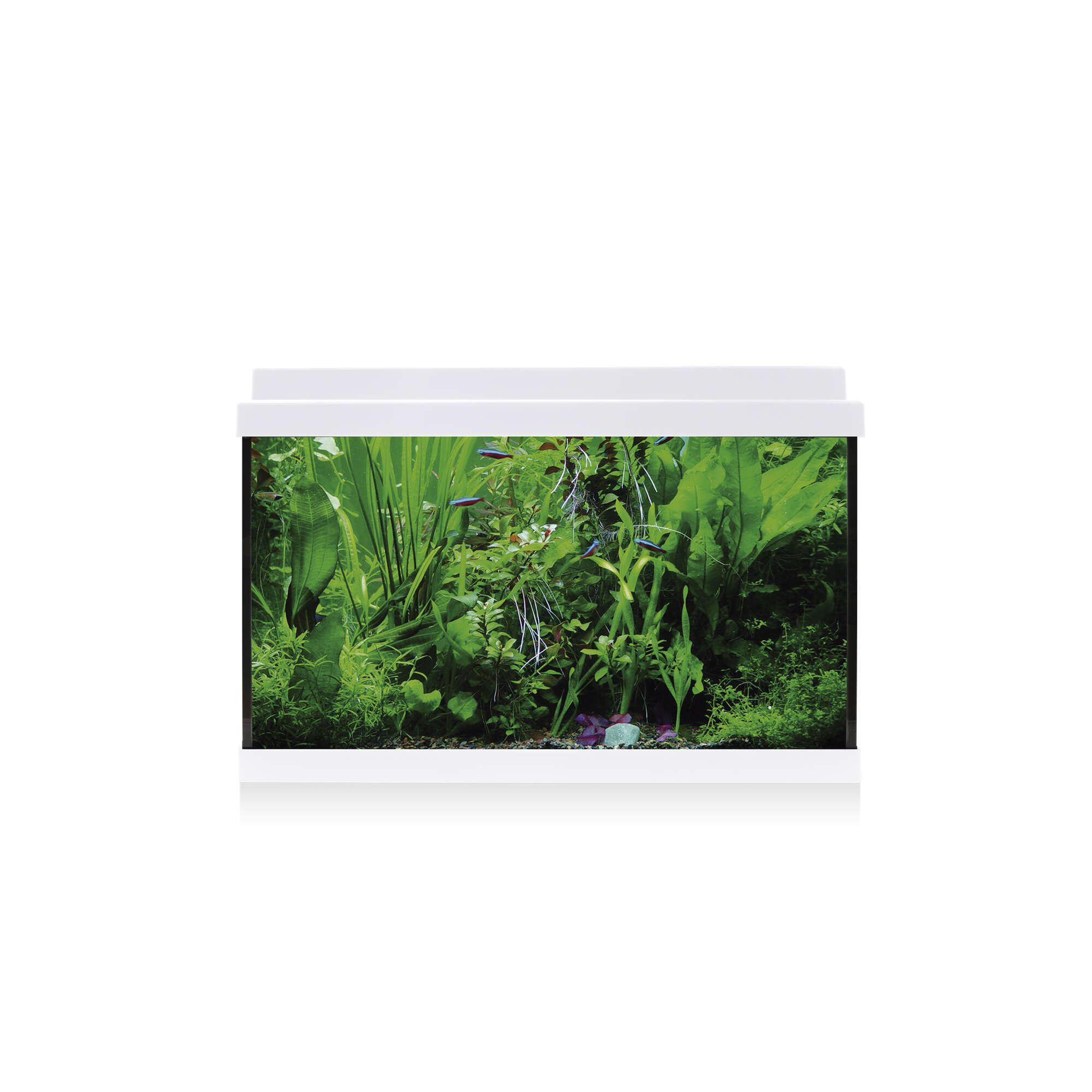 Kit AQUA LED 33 blanco