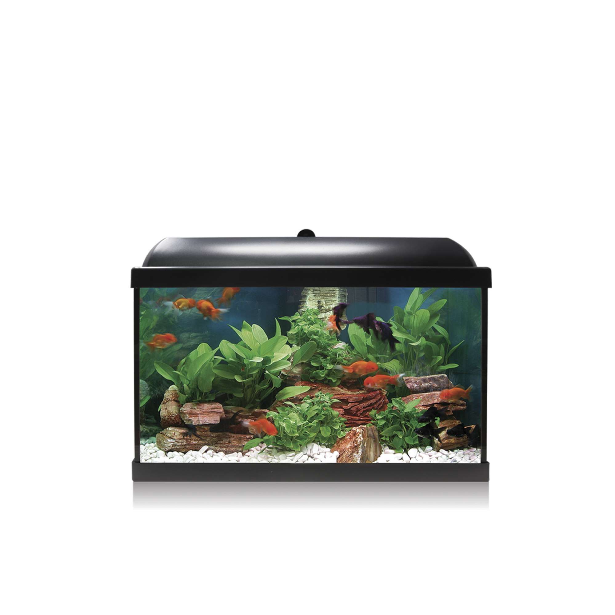 Kit AQUA LED PRO 45 negro
